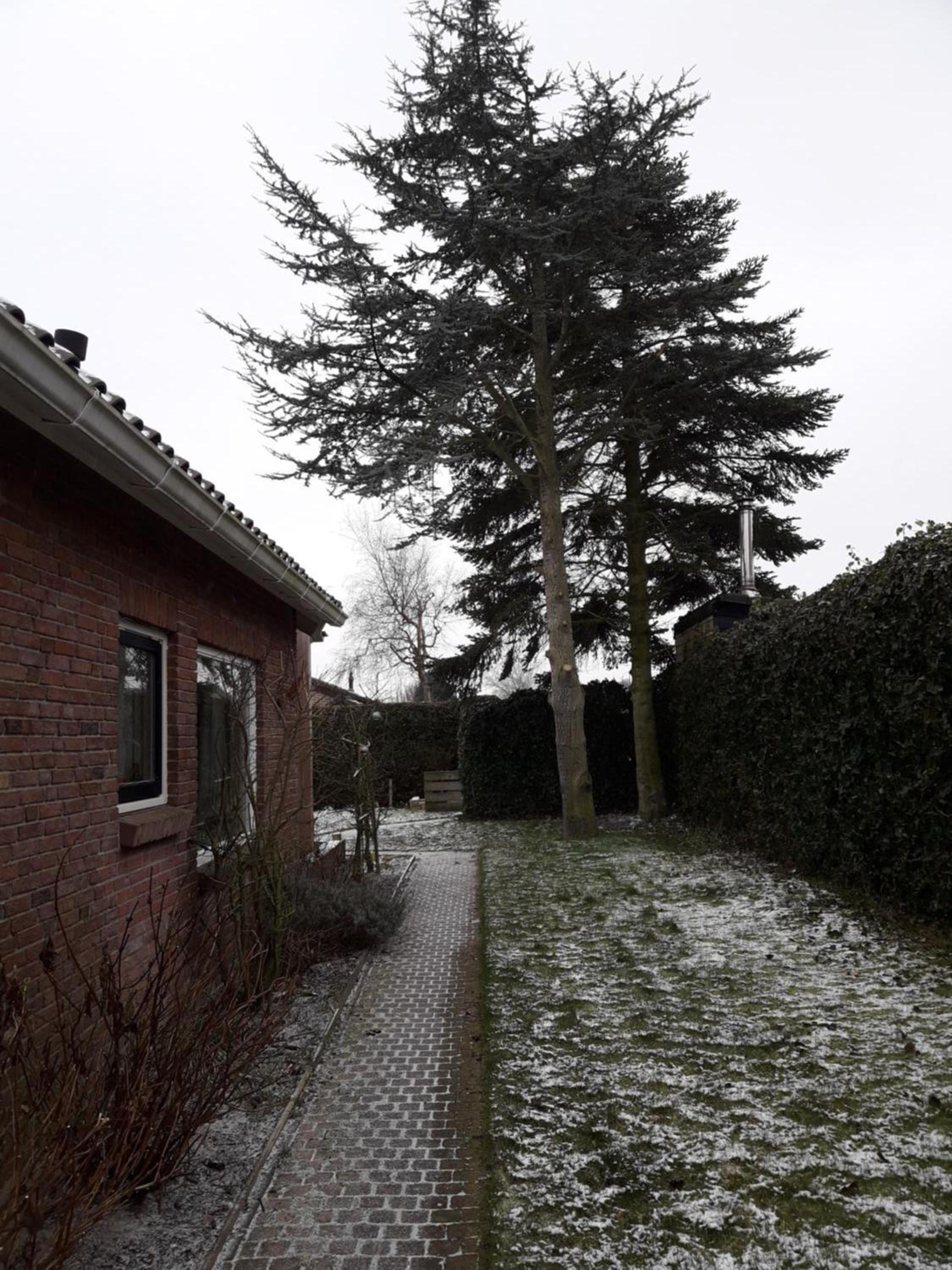 Zomerhuis De Zeedistel view 5