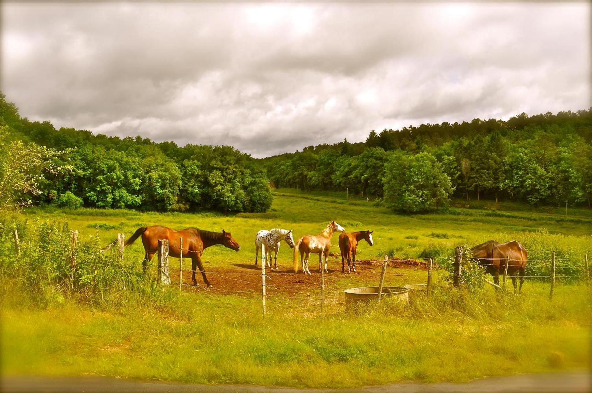 Domaine des Bories
