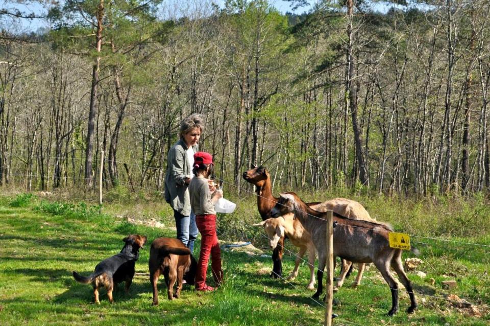 Domaine des Bories
