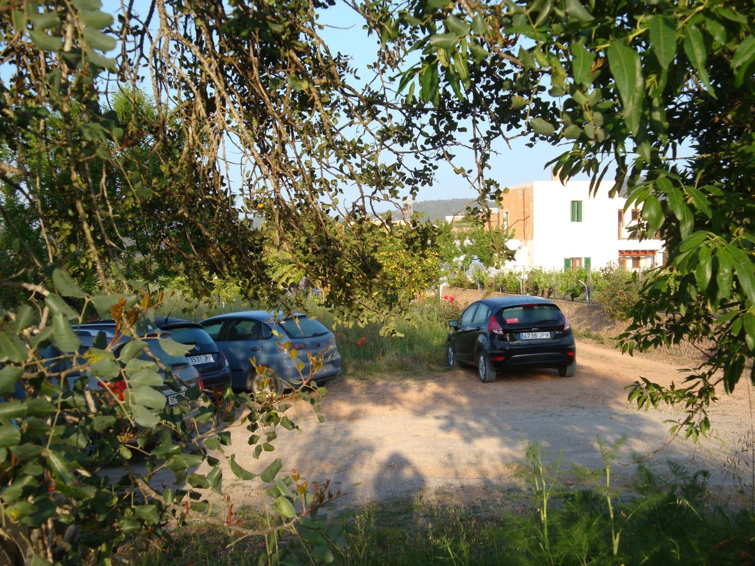 Photo 24