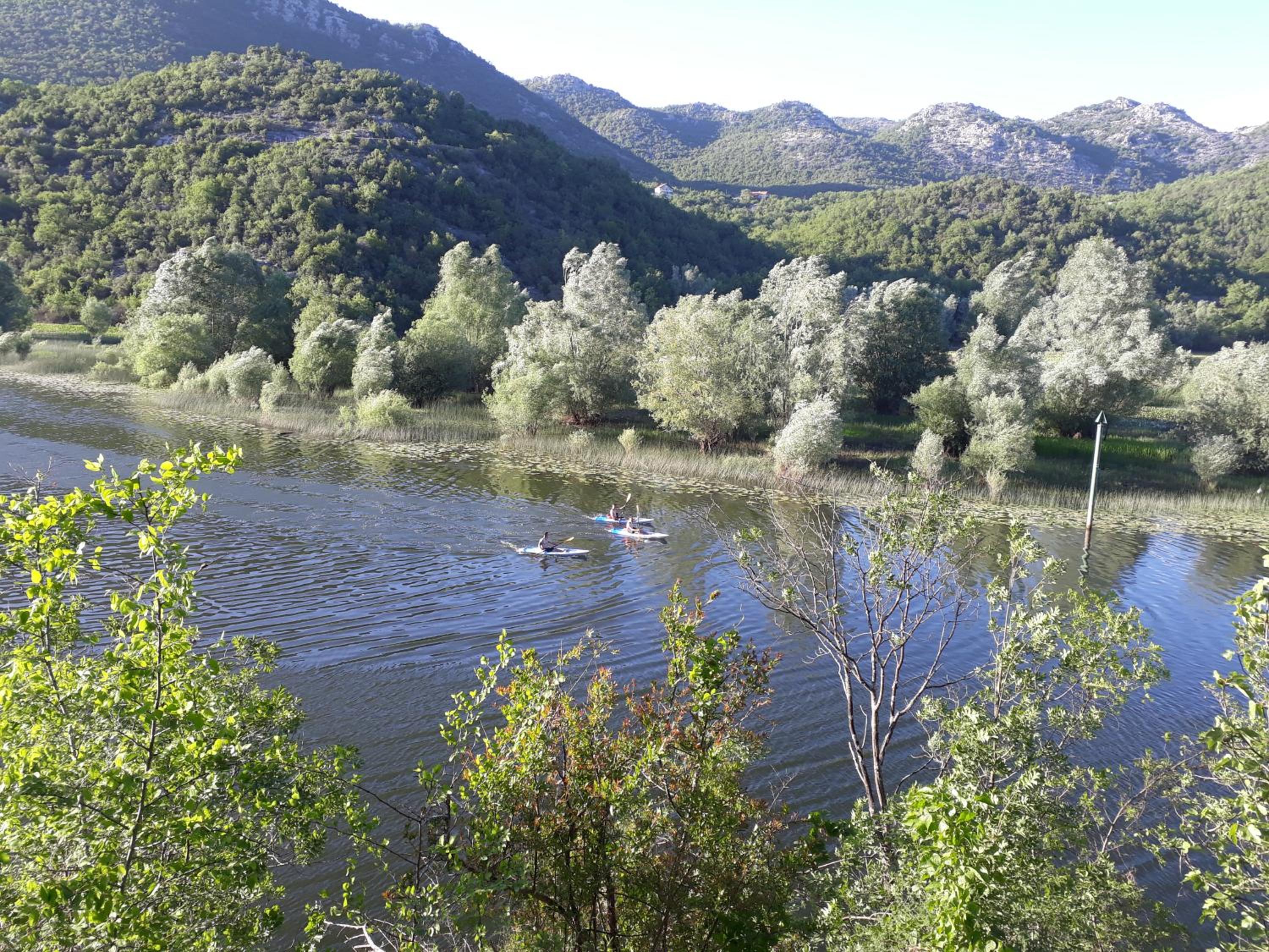 Photo 35