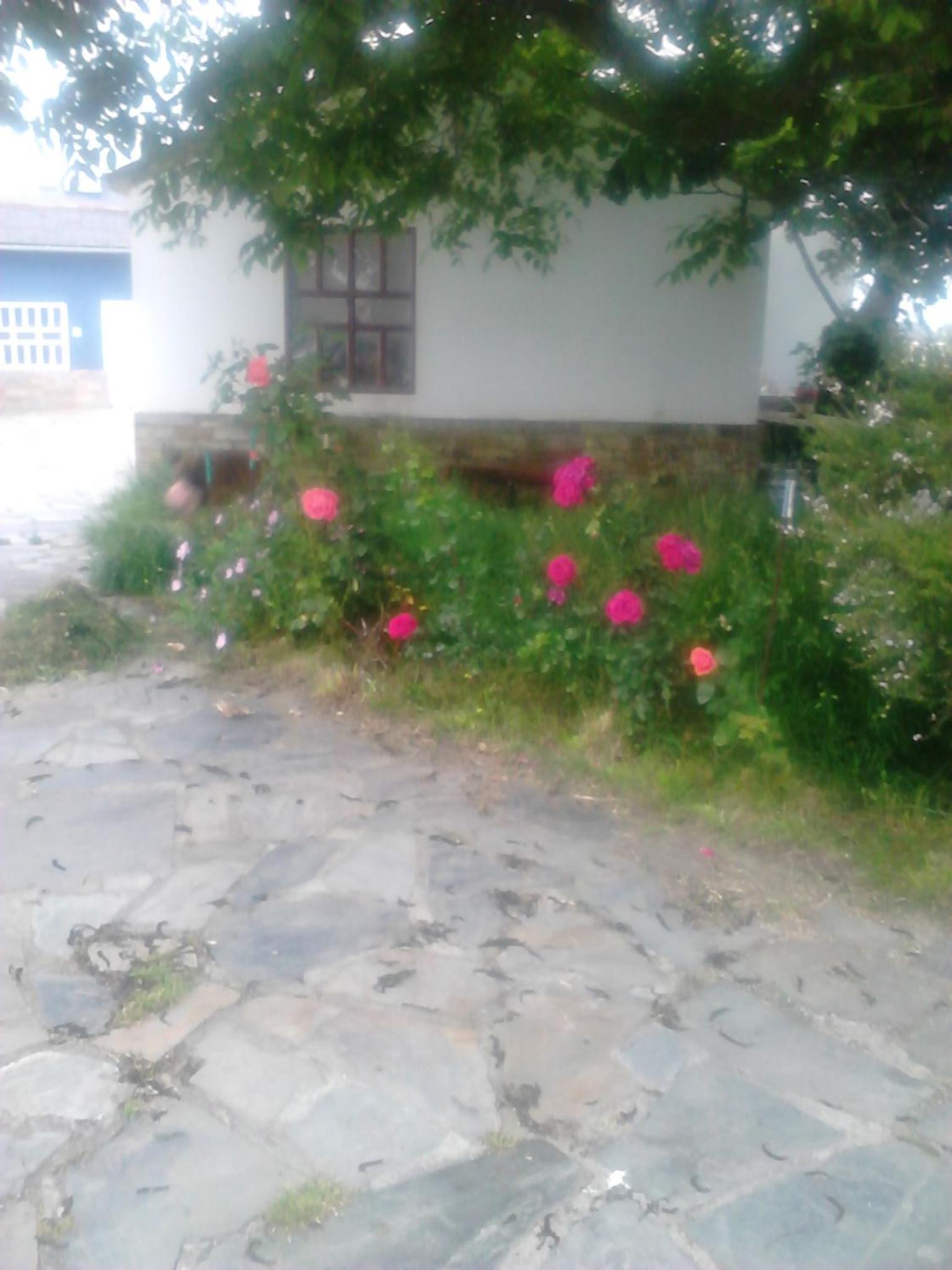 Photo 48