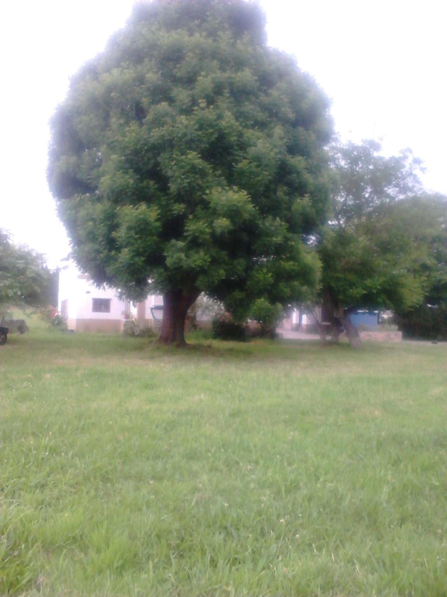Photo 45
