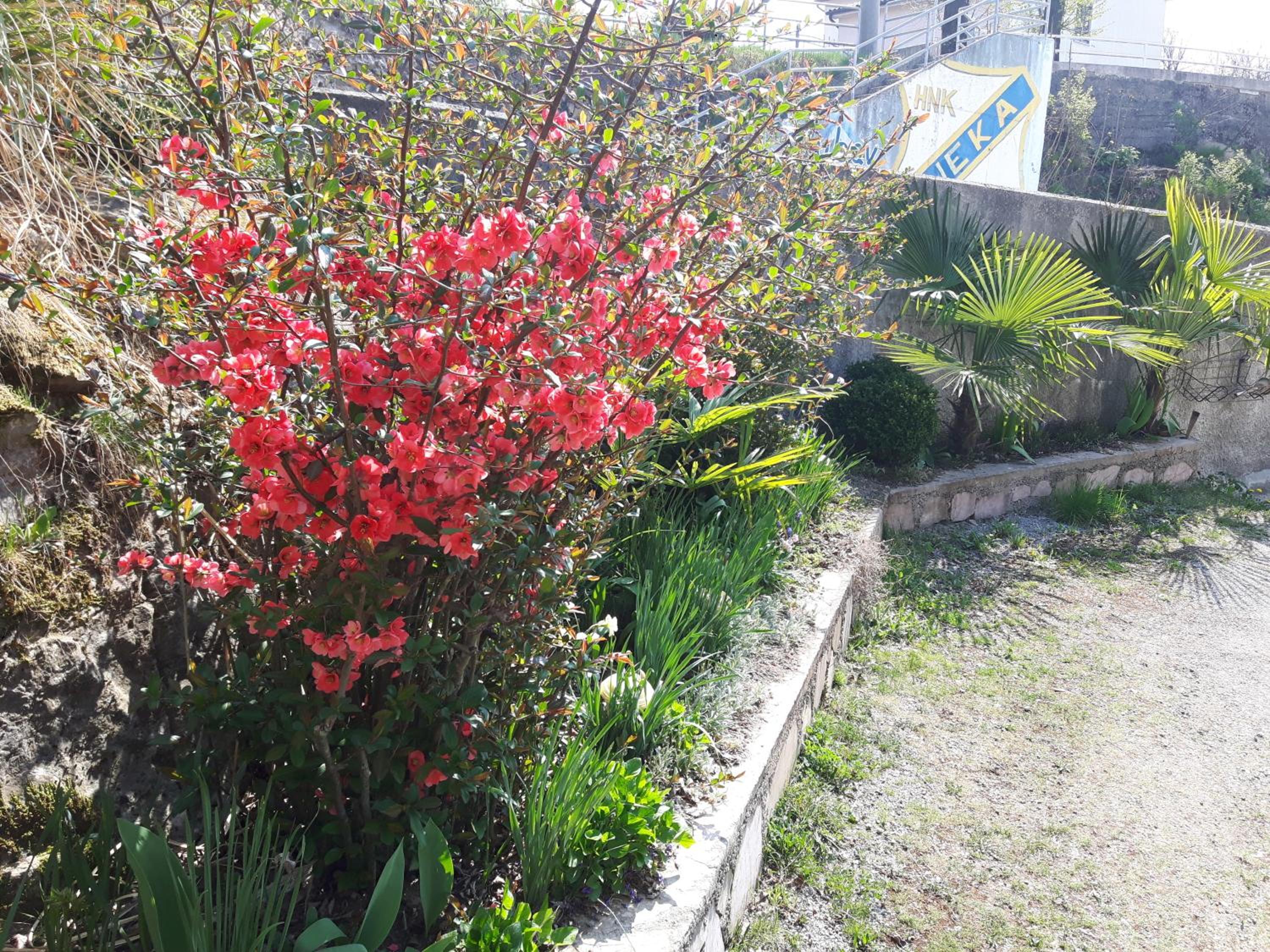 Elena Rooms view 5