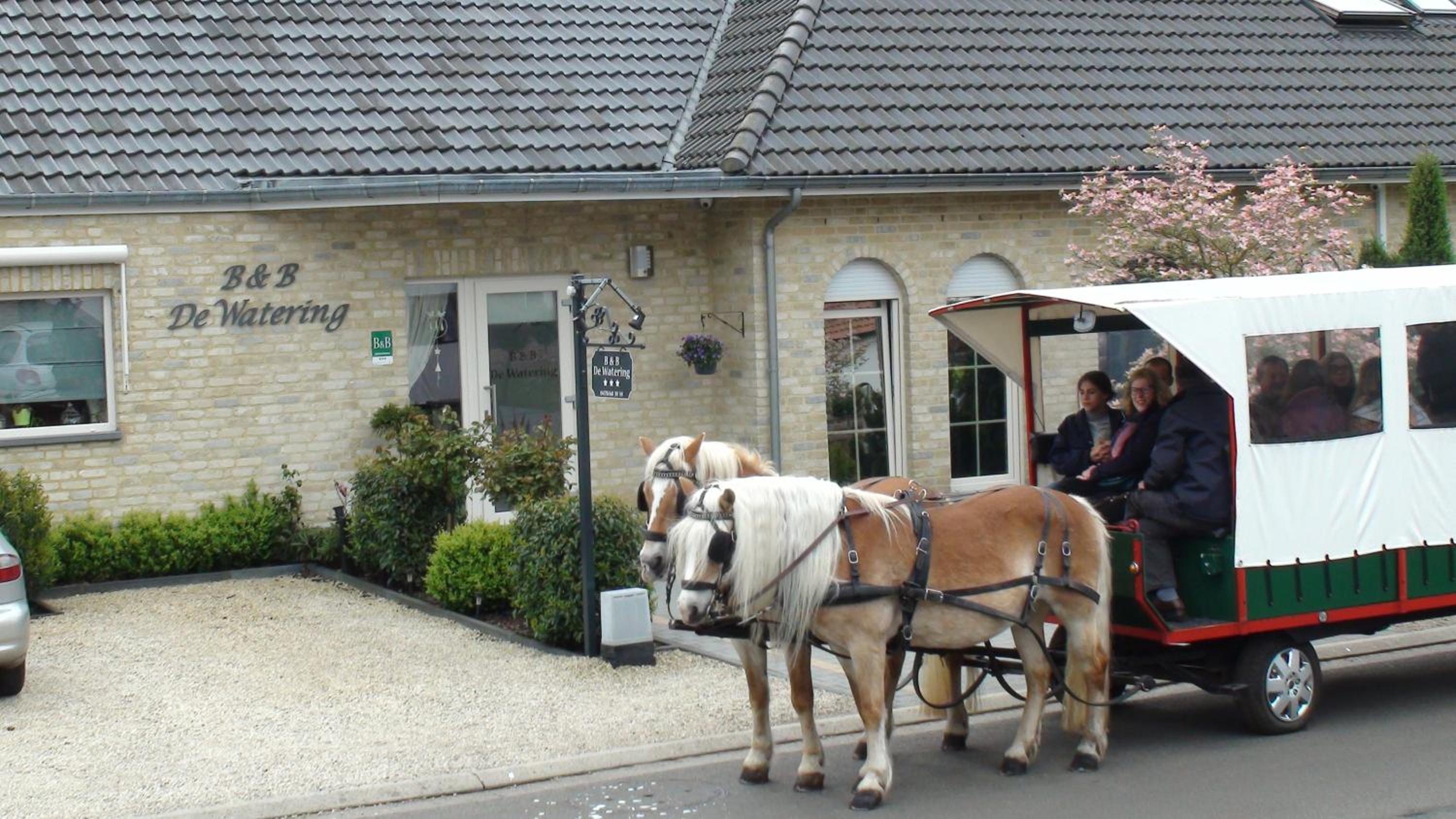 B&B De Watering