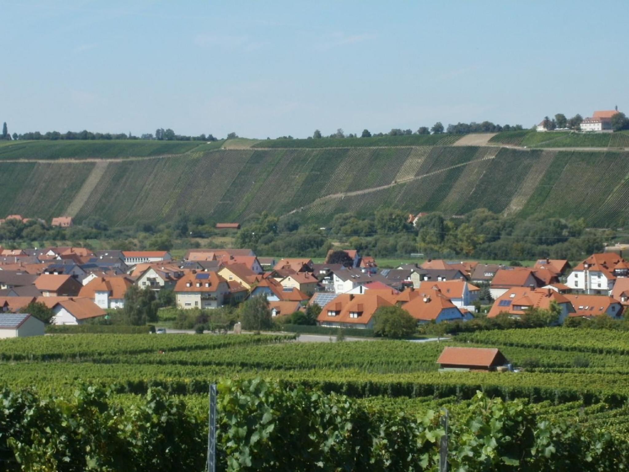 Gästehof - Weinbau Säger view 5