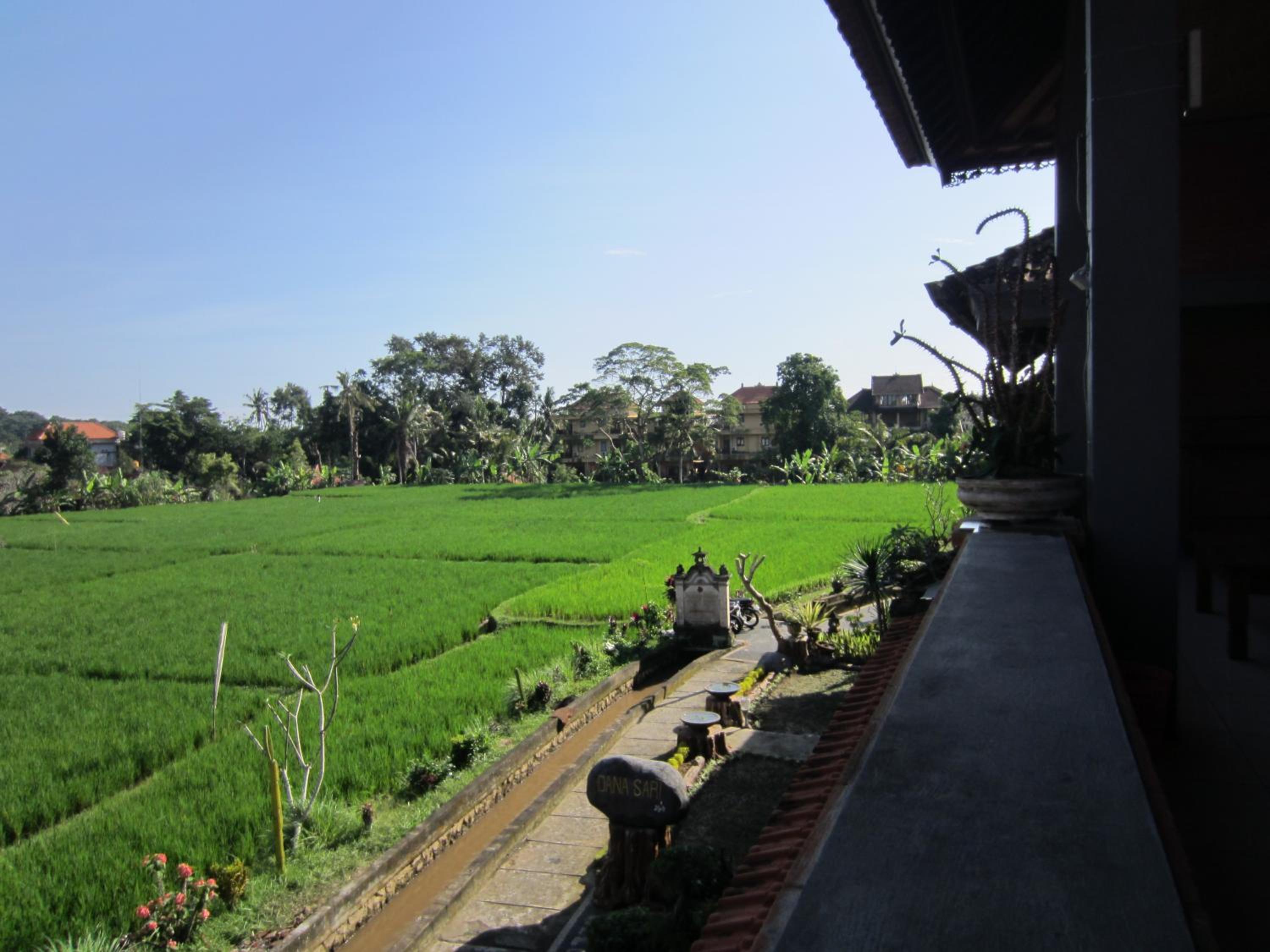 Danasari Homestay