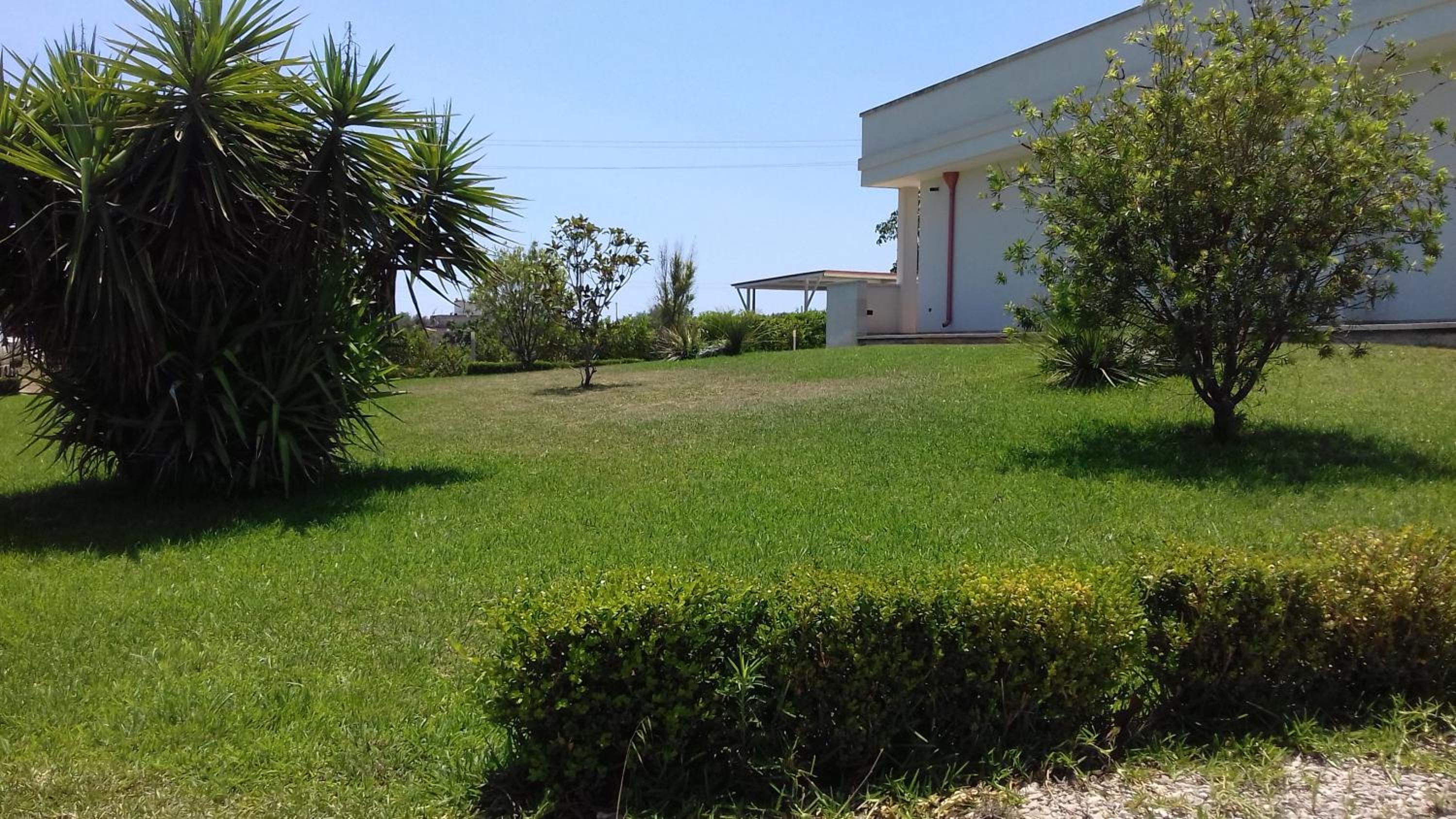 La Macchia photo 3
