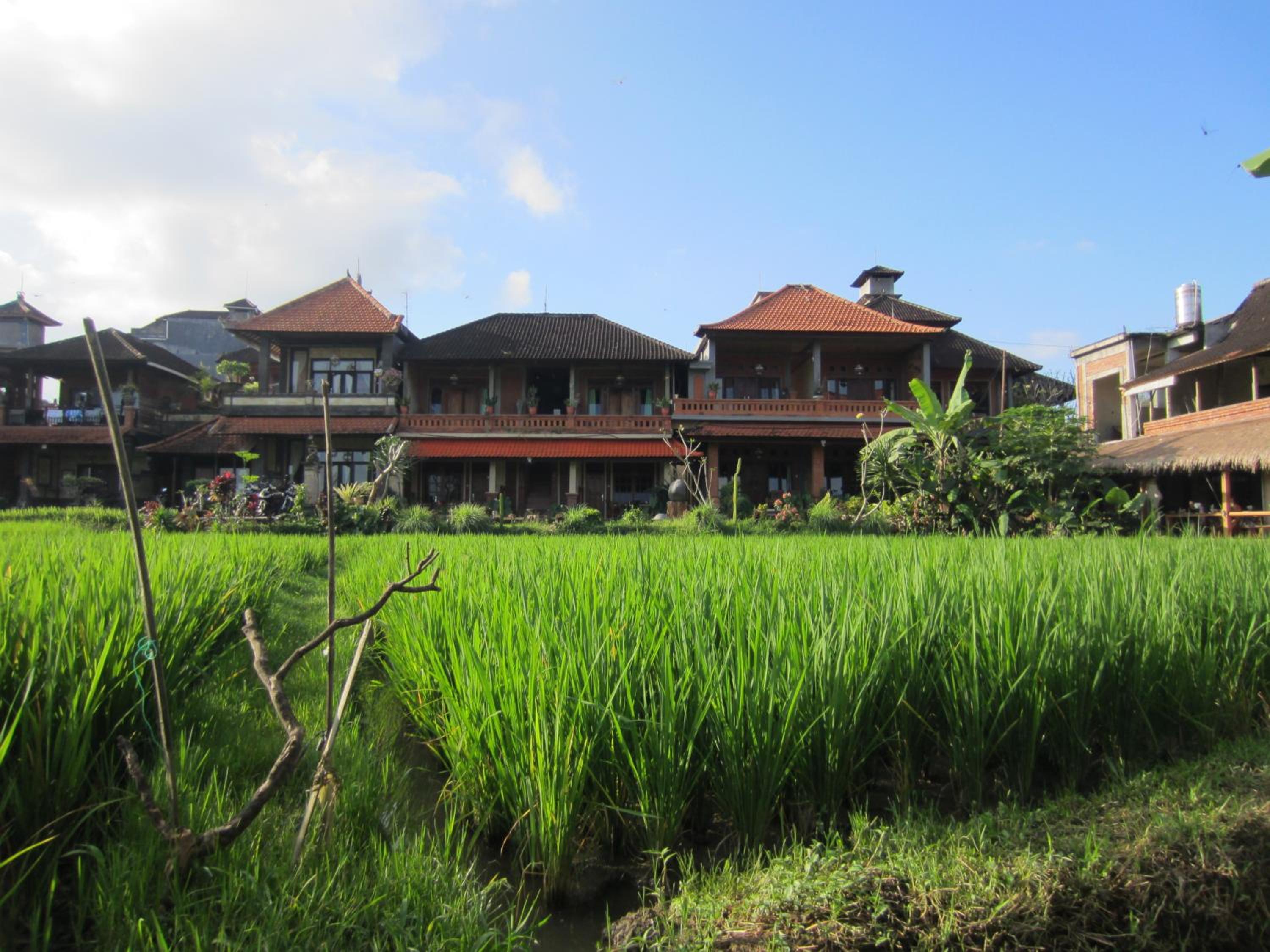 Hotel Danasari Homestay