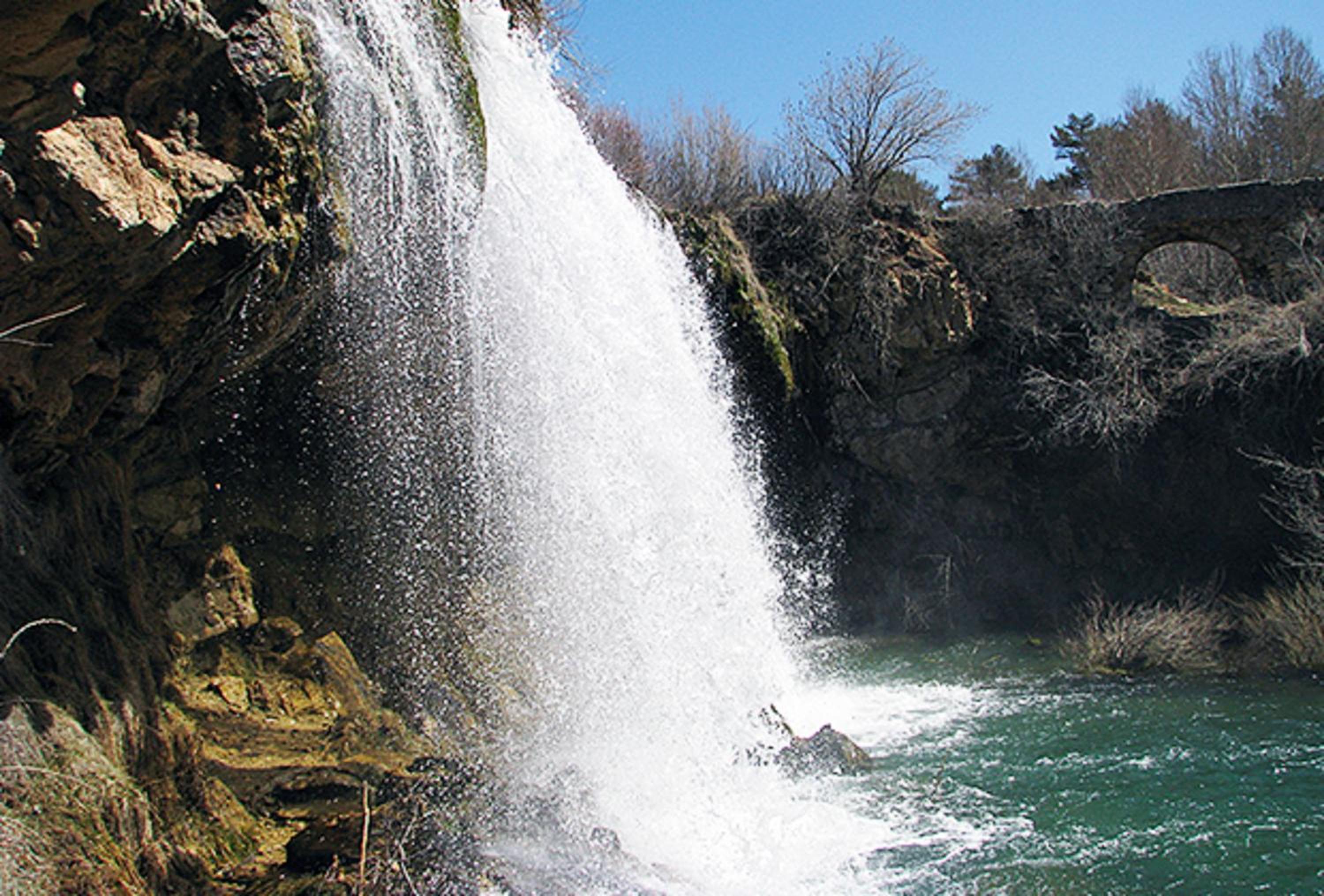Photo 25