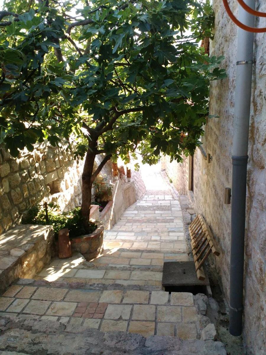Photo 54