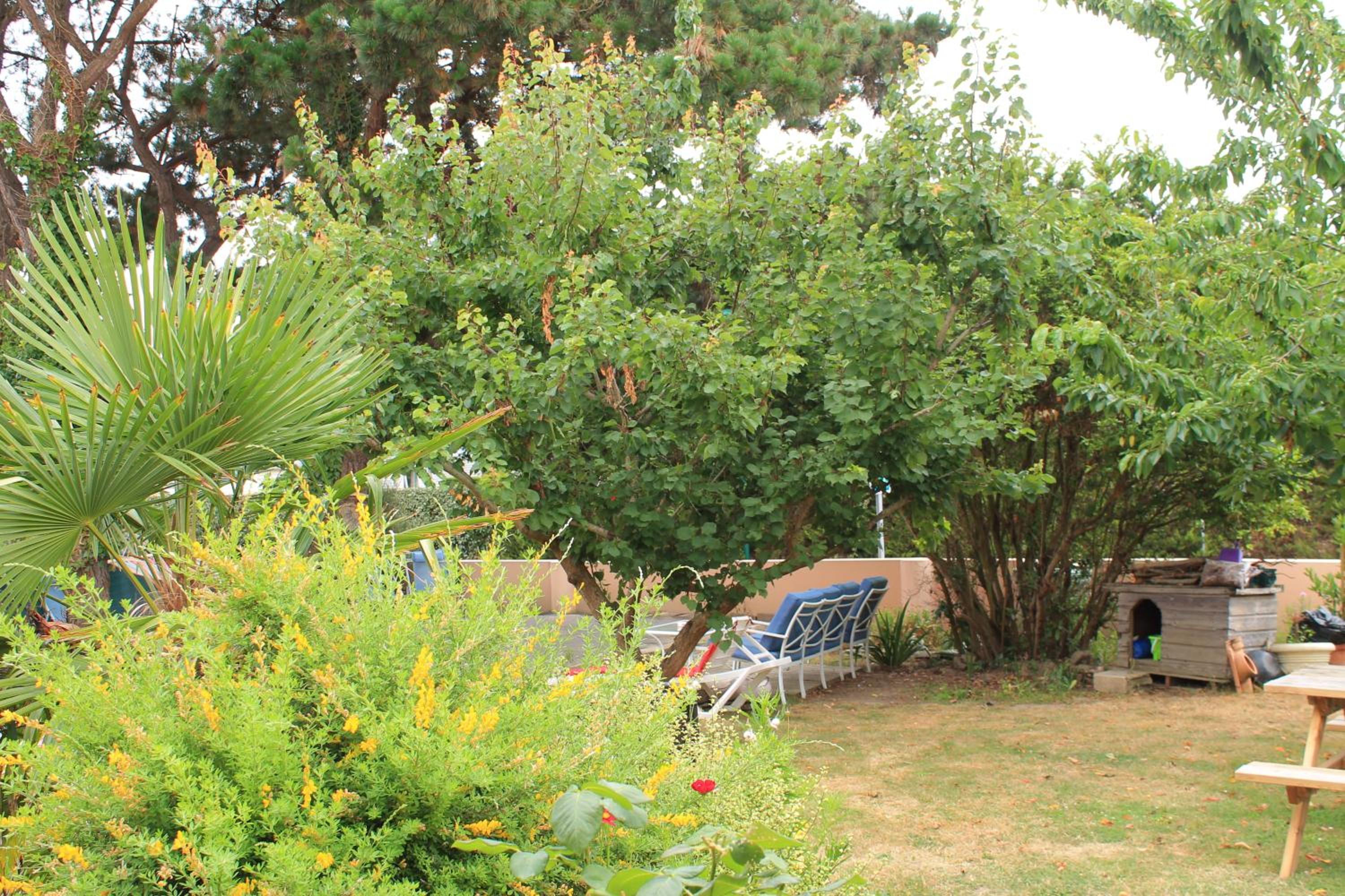 Olékaté, photo 10