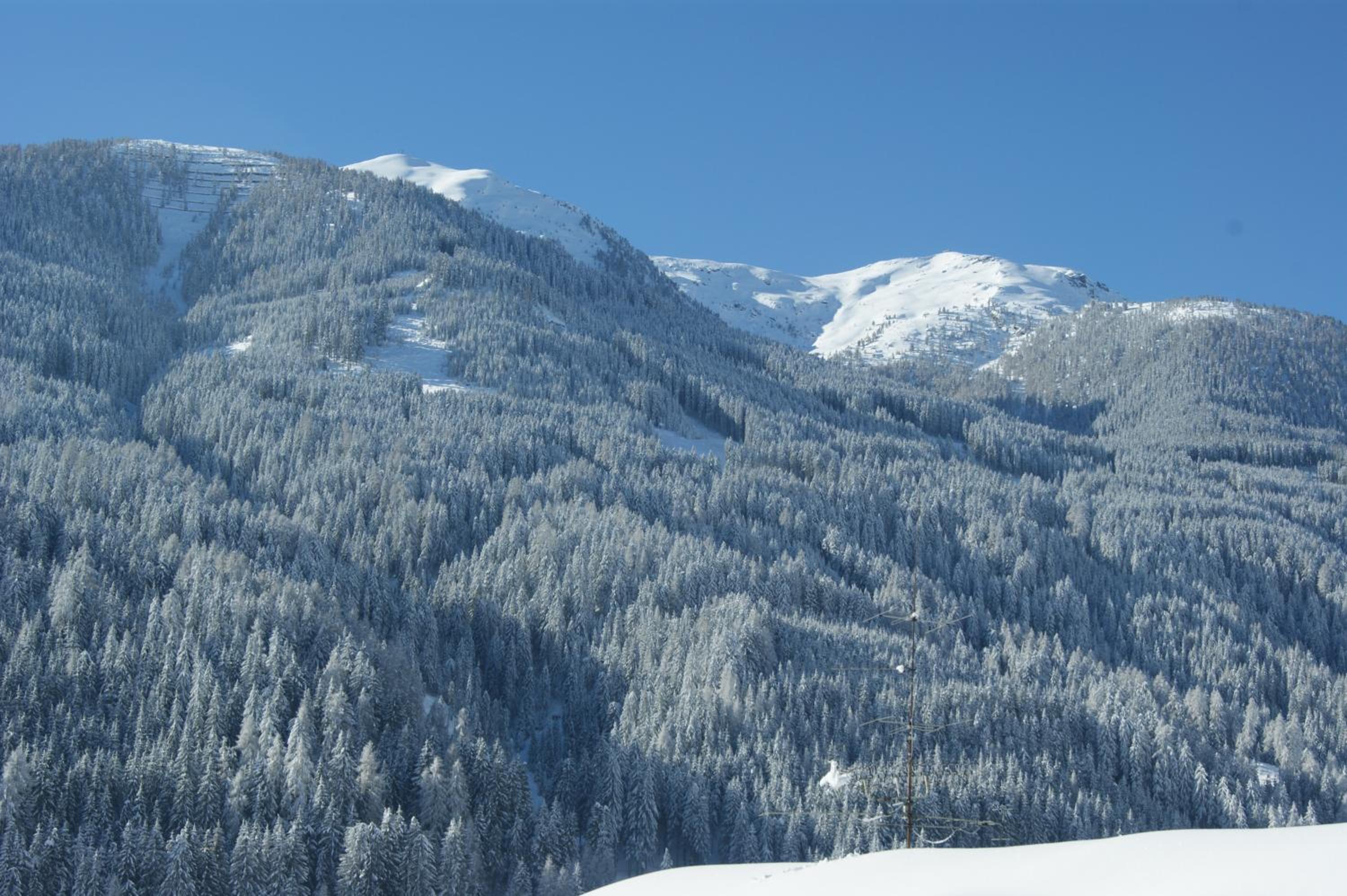 Pension Pichler