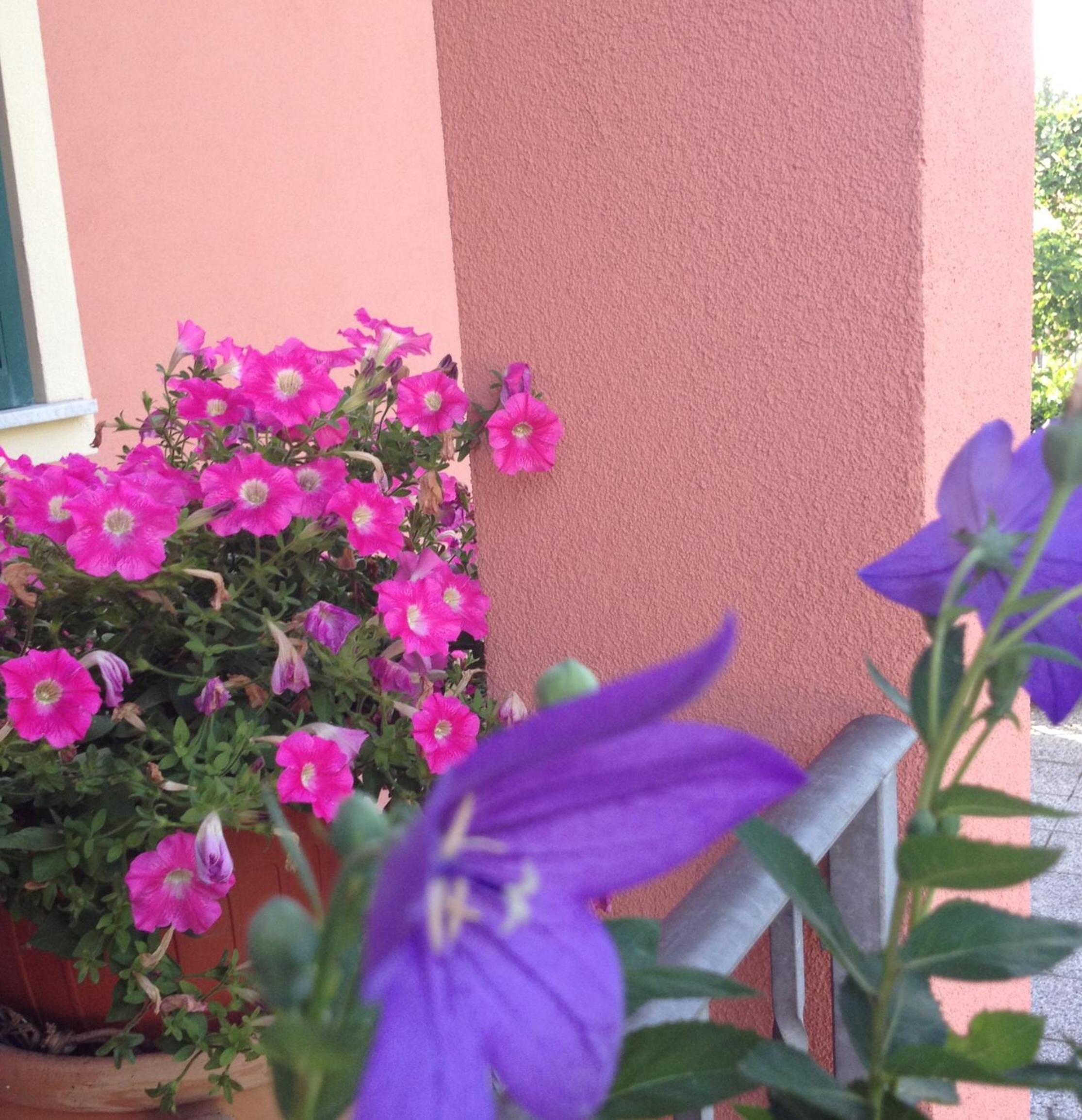 Photo 33