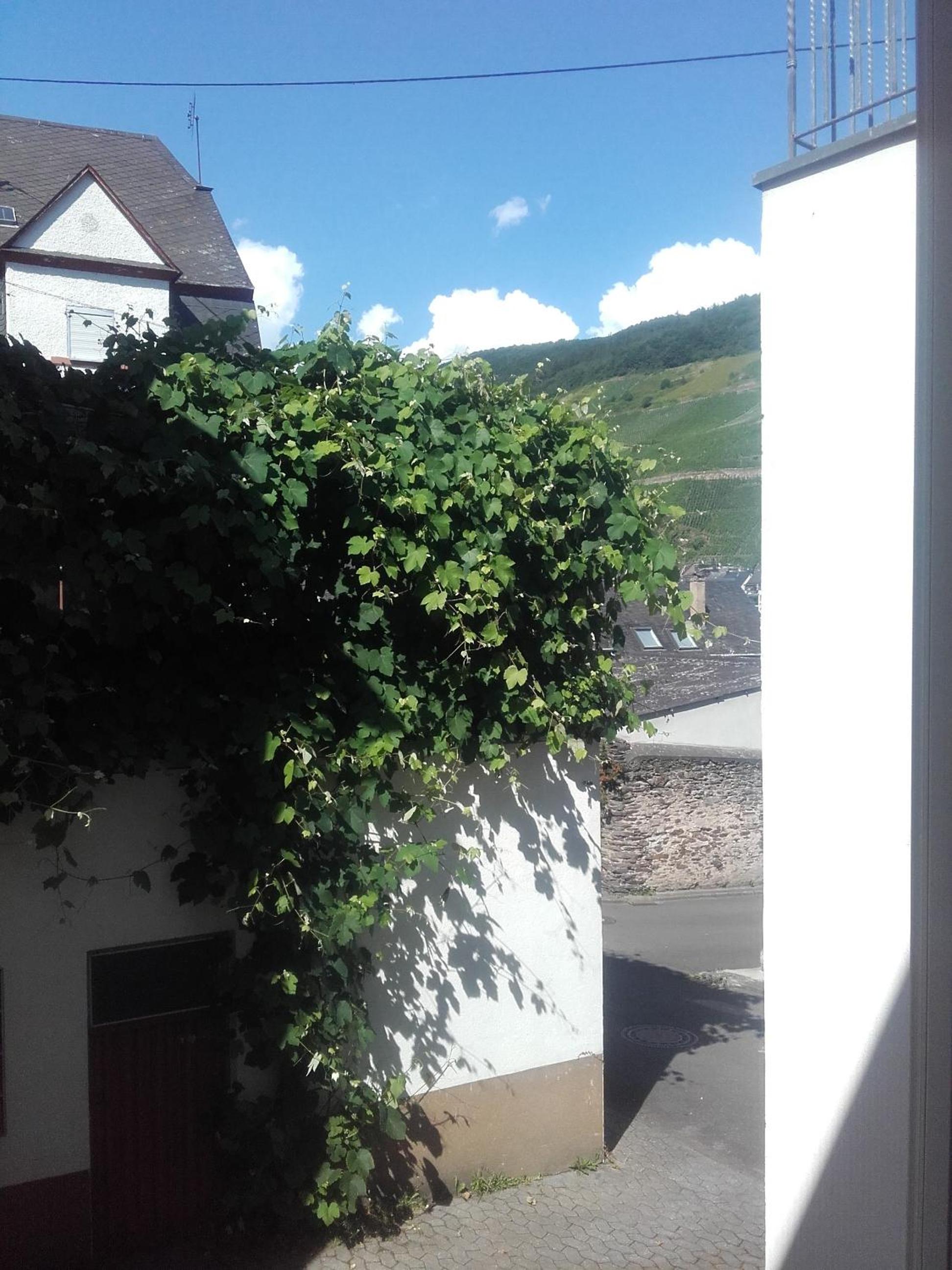 Ferienwohnung-Hallebach