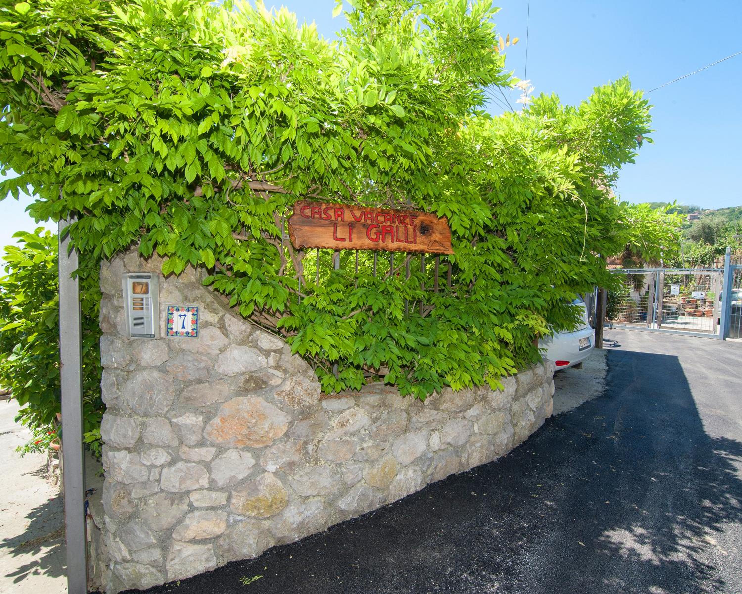 Photo 44