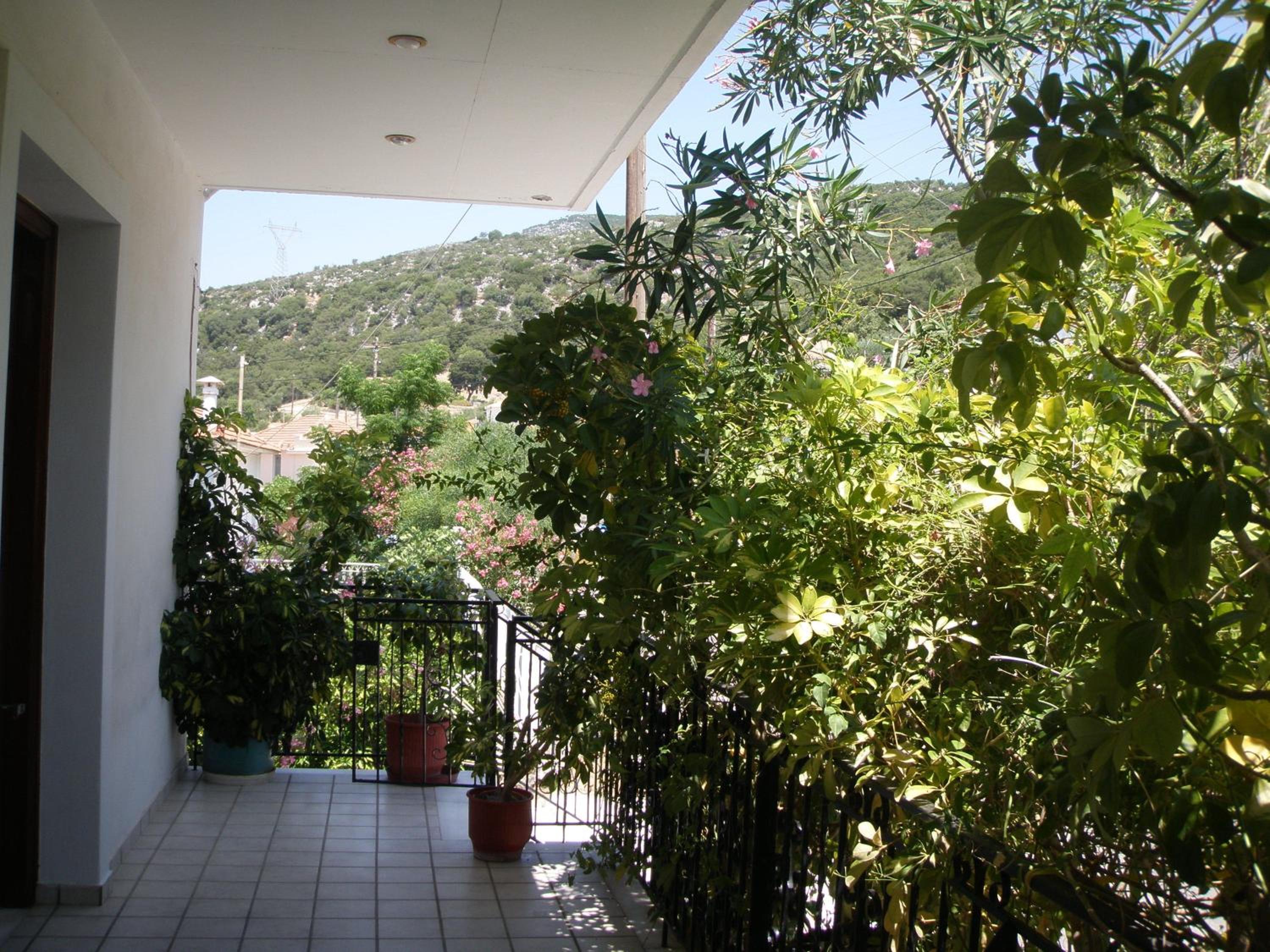 Photo 46
