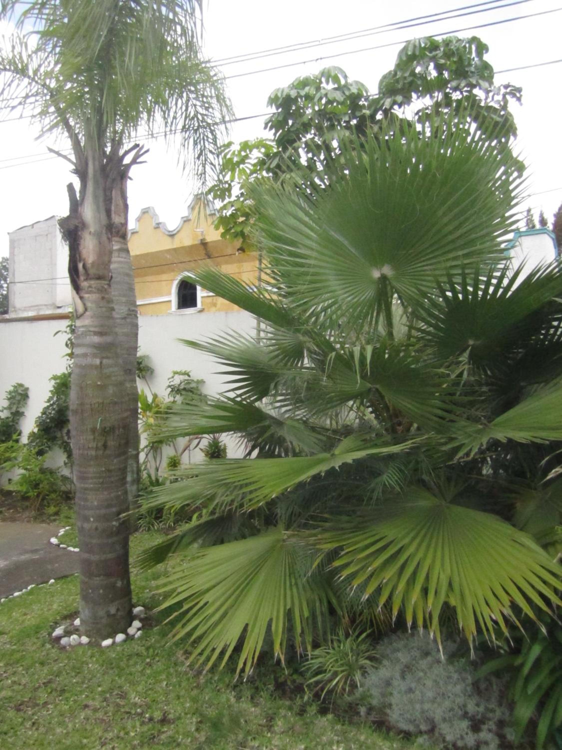 Xalapa Vacations - Auto Hotel Mediterraneo - Property Image 6
