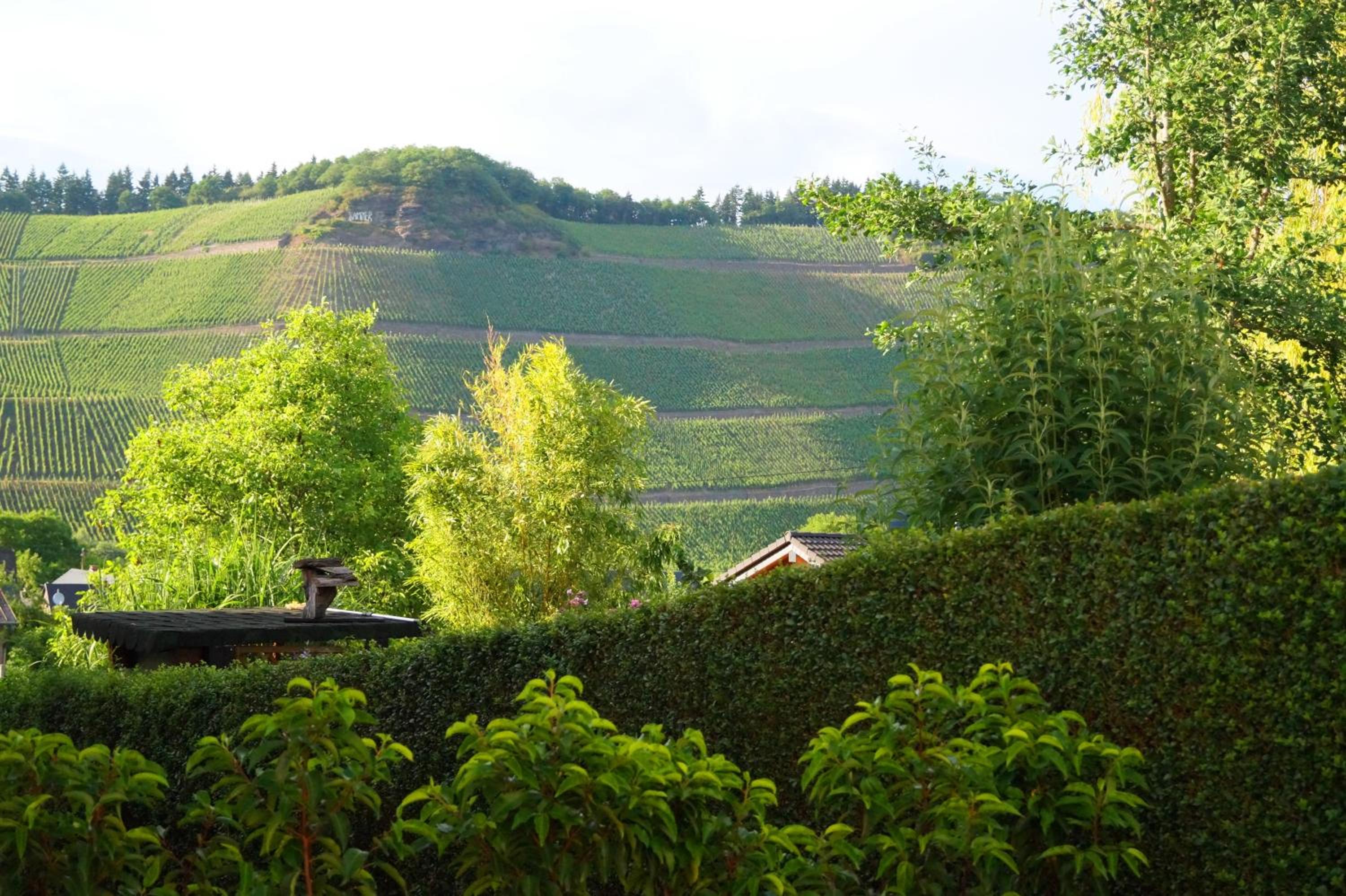 Mosel-Auszeit