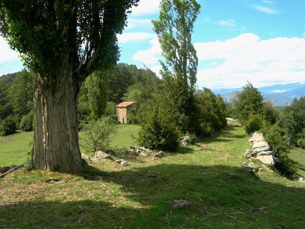 Photo 46