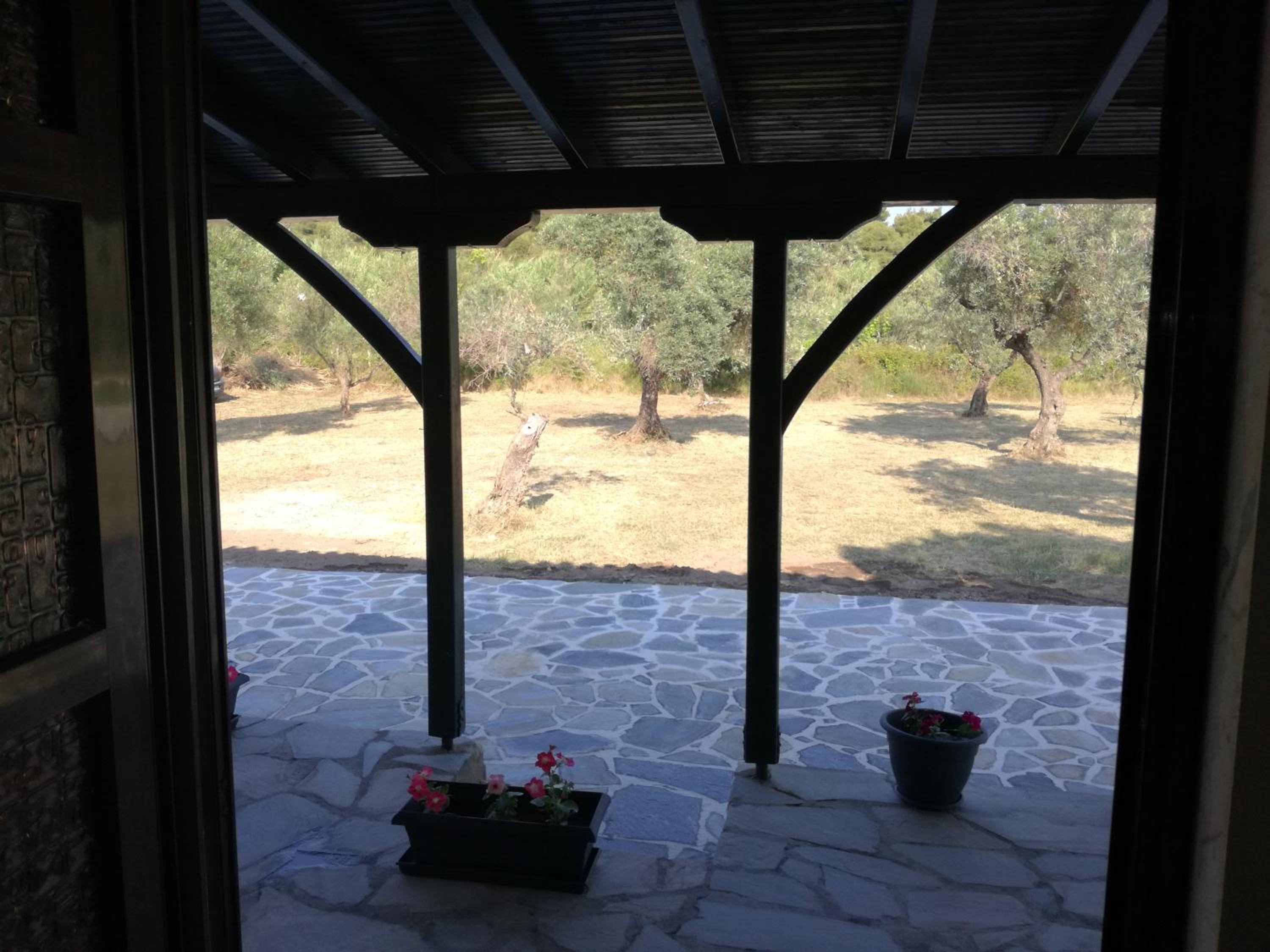 Photo 8