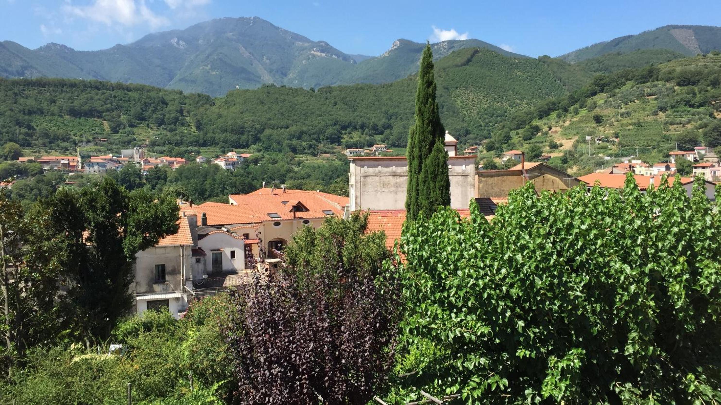 Farfalle E Gabbiani photo 5