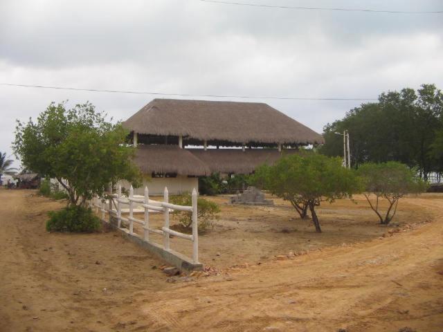 Photo 19