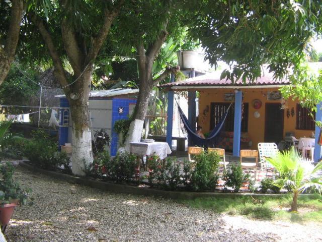 Photo 21