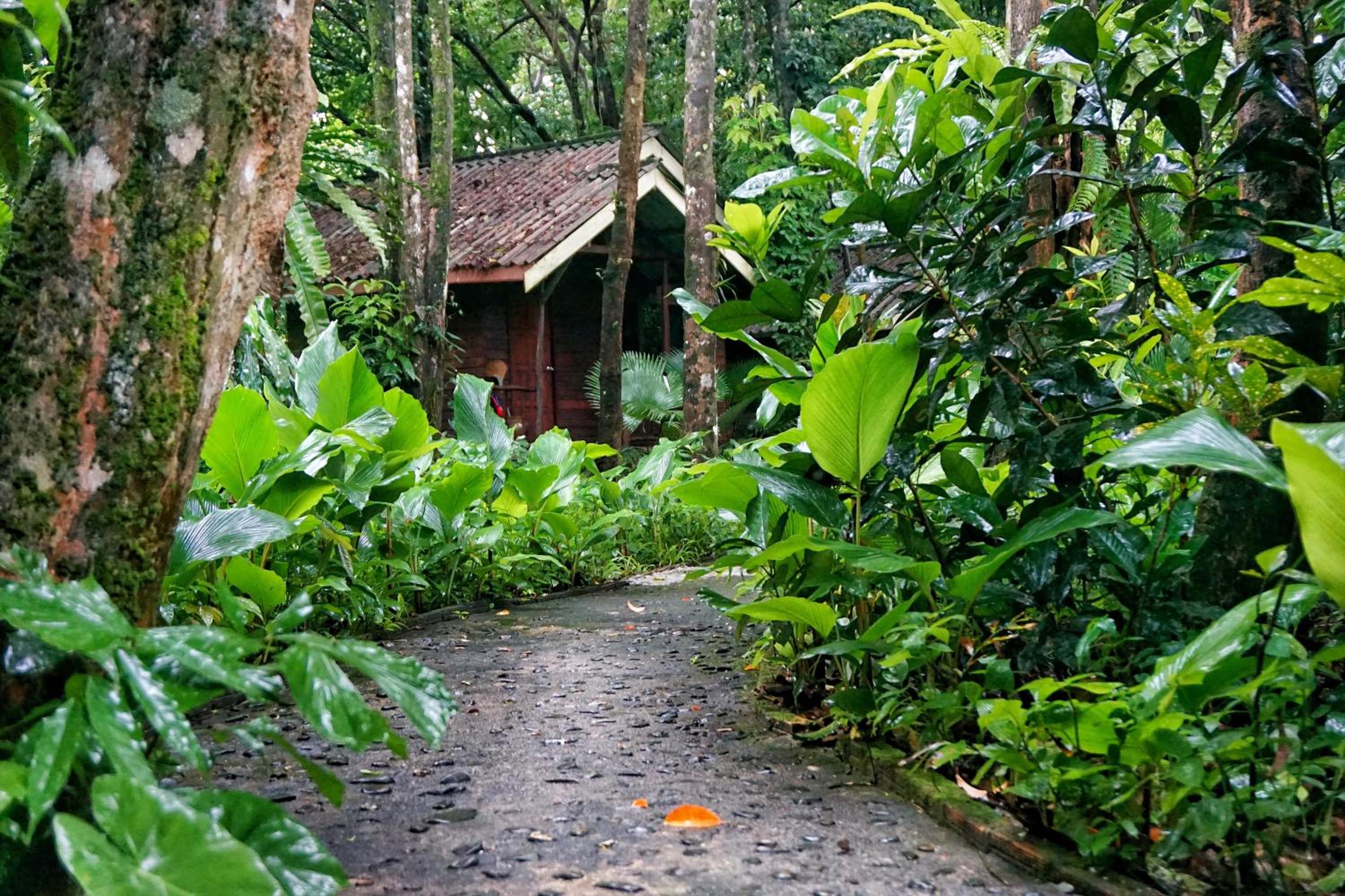 Khao Sok Riverside Cottages