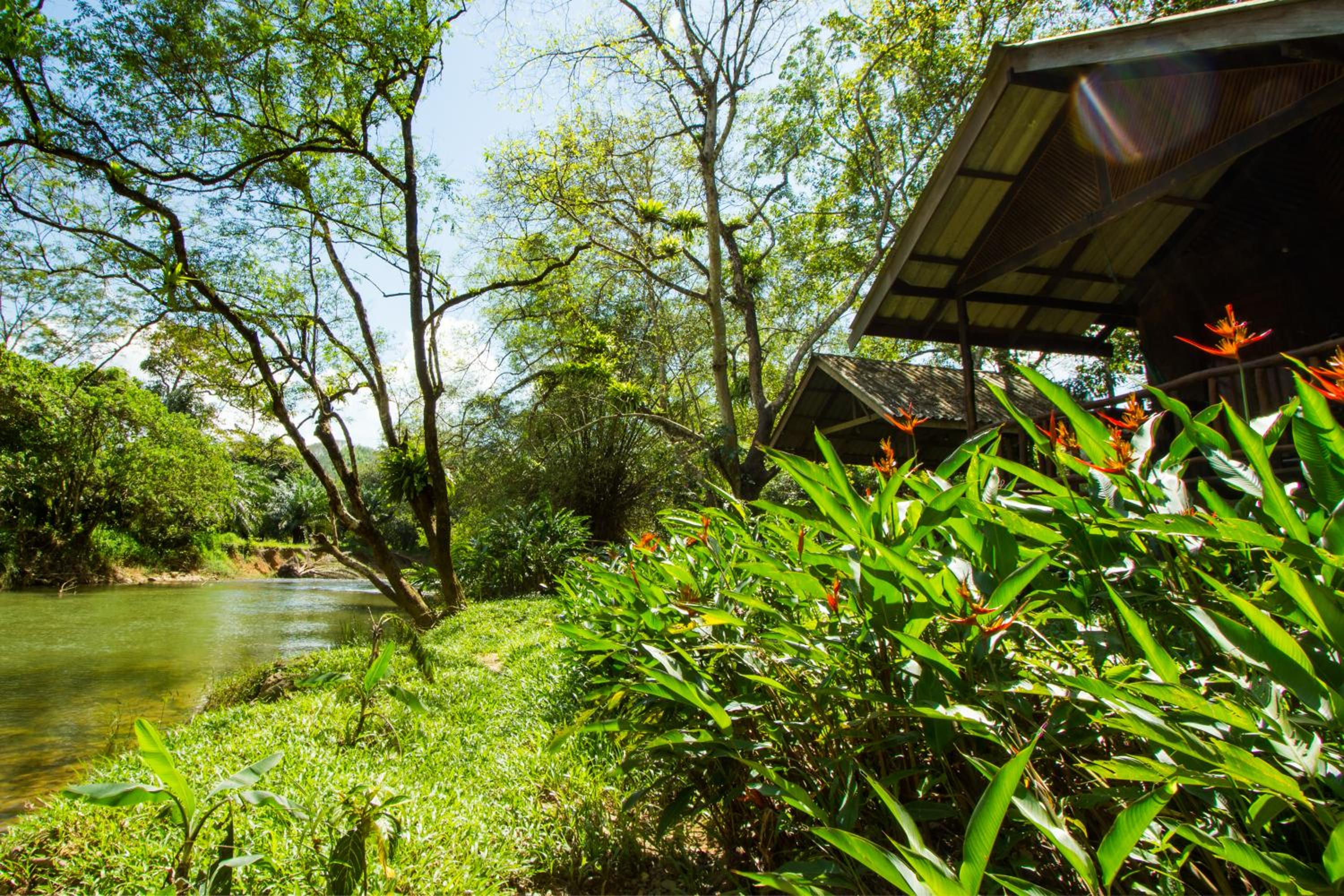 Khao Sok Riverside Cottages