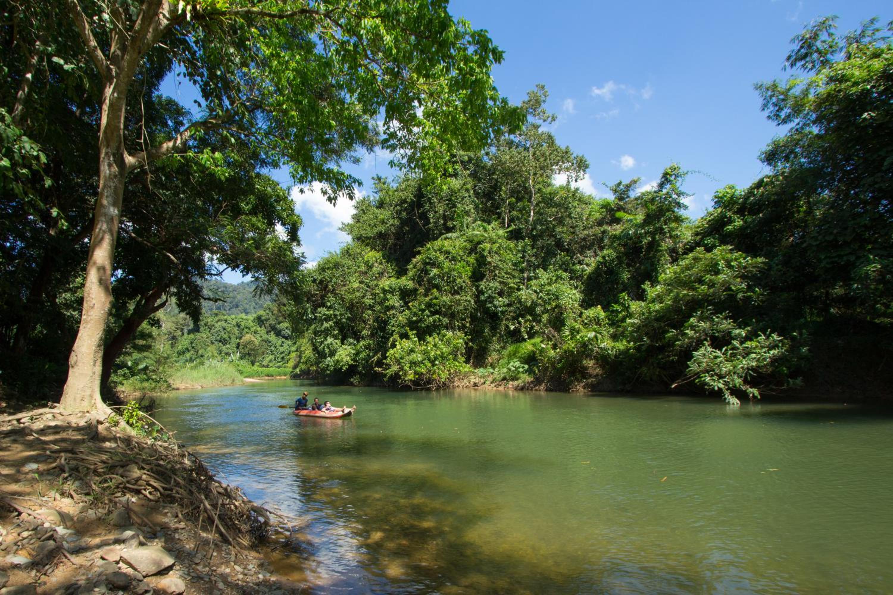 Khao Sok Riverside Cottages