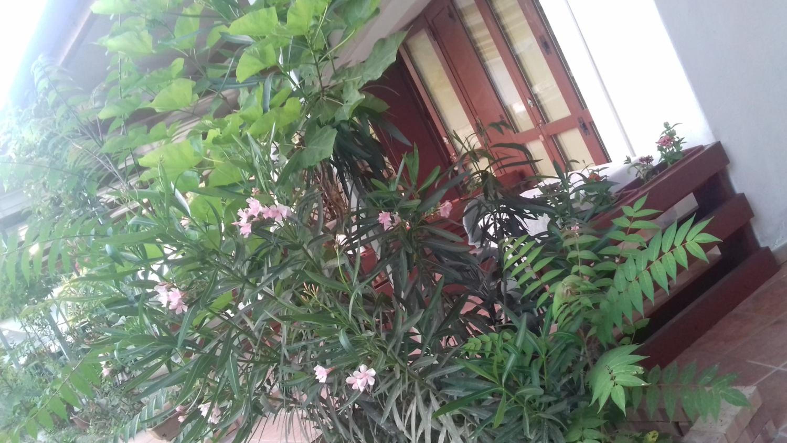 A Casa di Nené