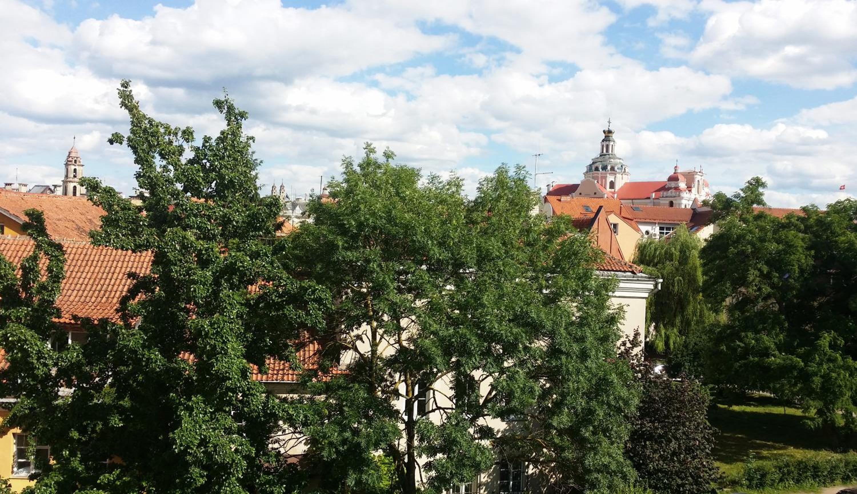 Old Town Apartment Antokolskio