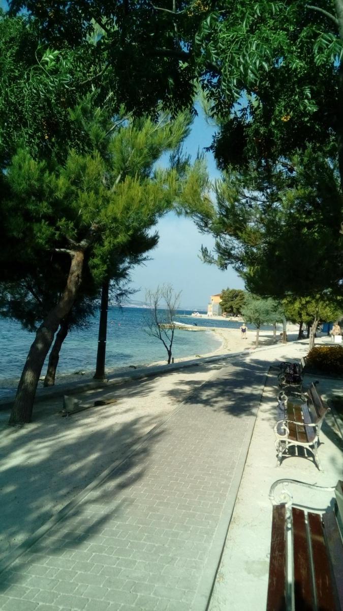 Photo 46