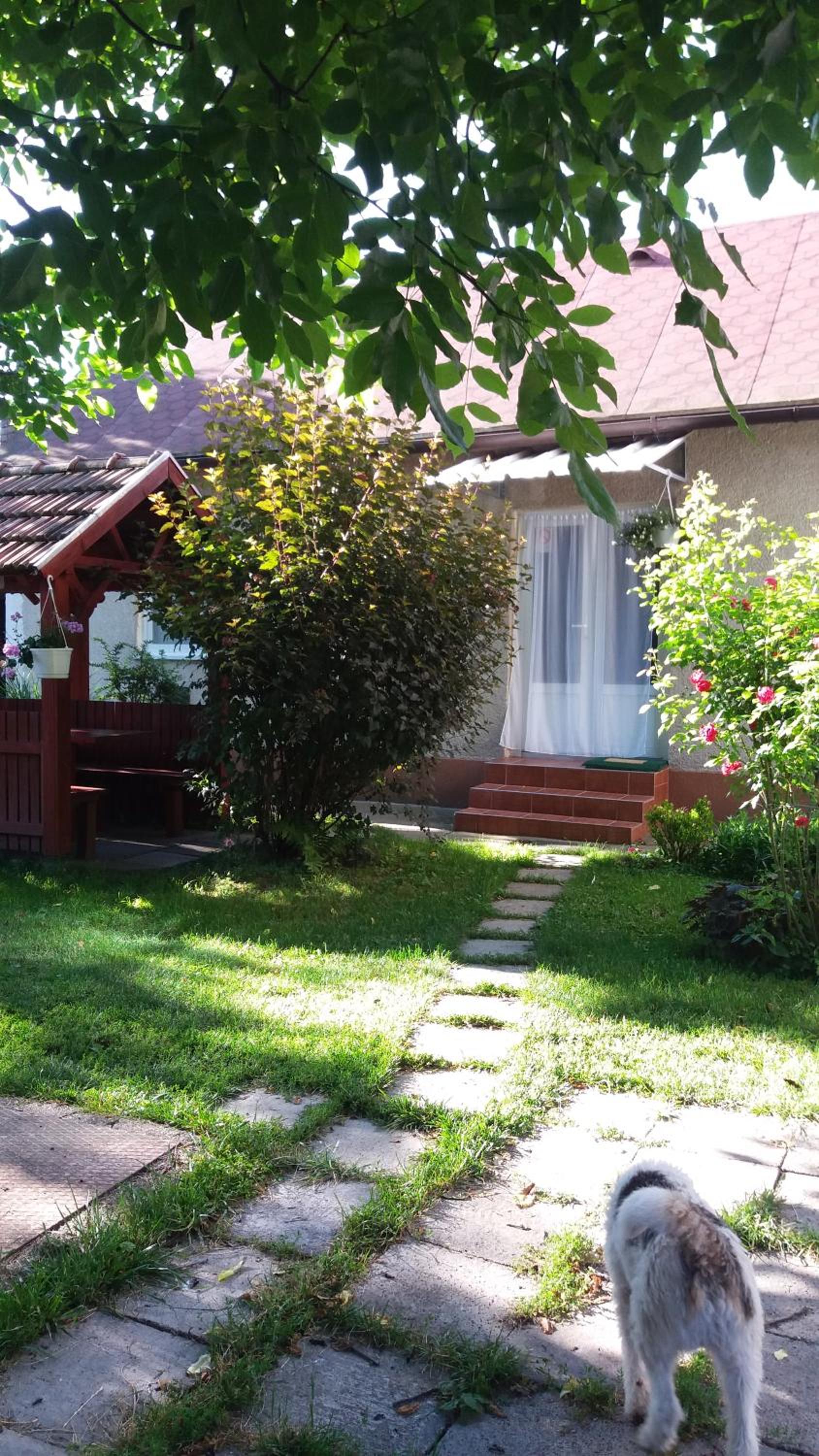 Photo 25