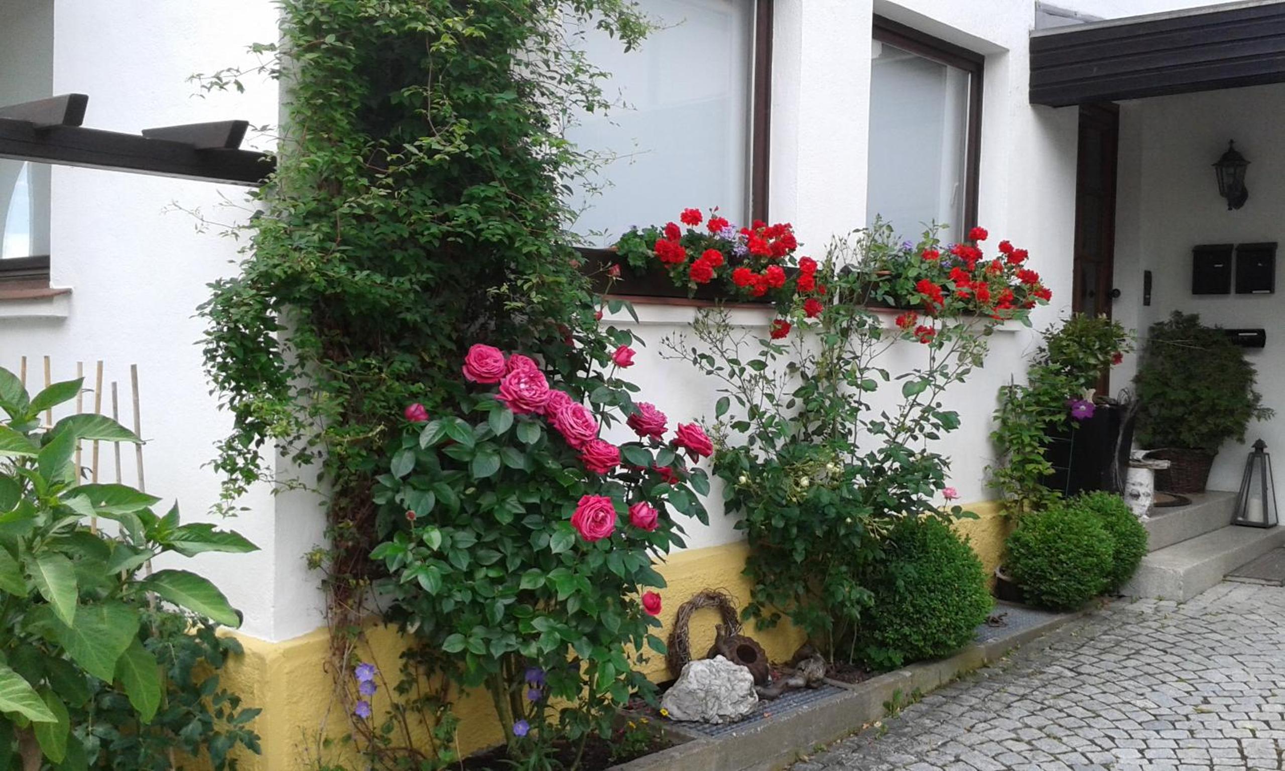 Ferienwohnung "Am Eisenbühl" view 3