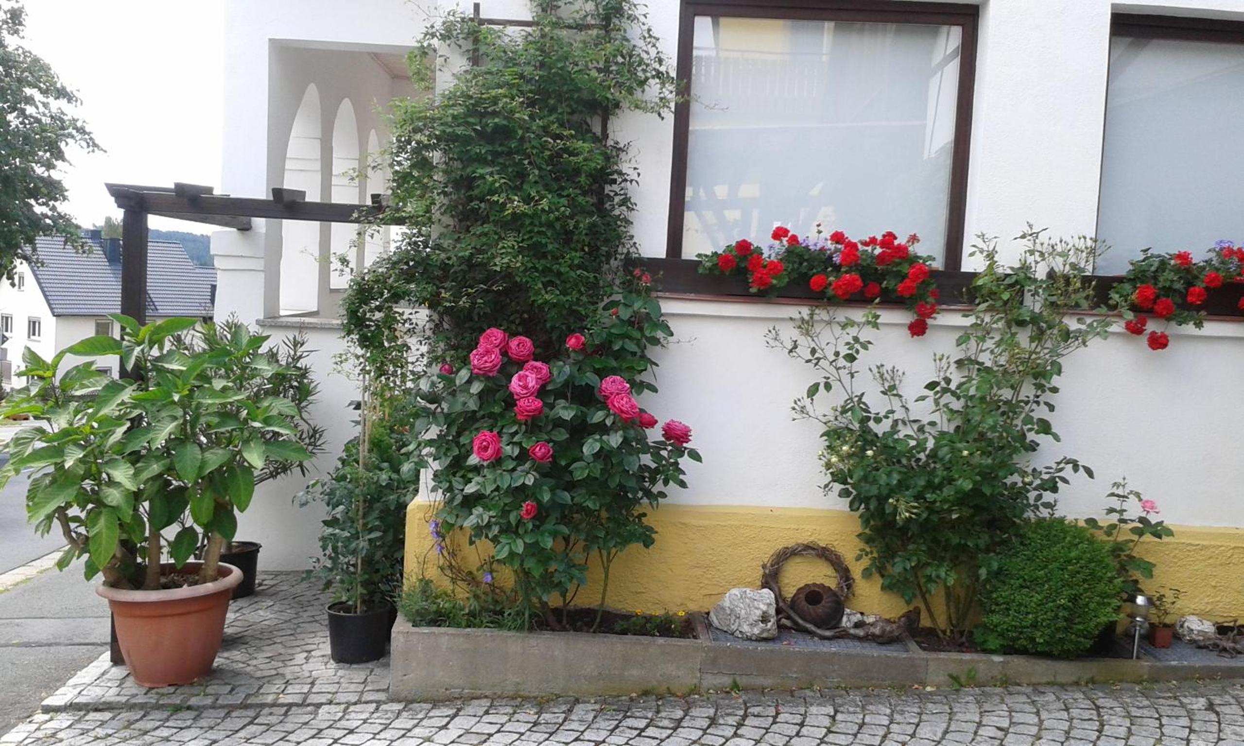 Ferienwohnung "Am Eisenbühl" view 4