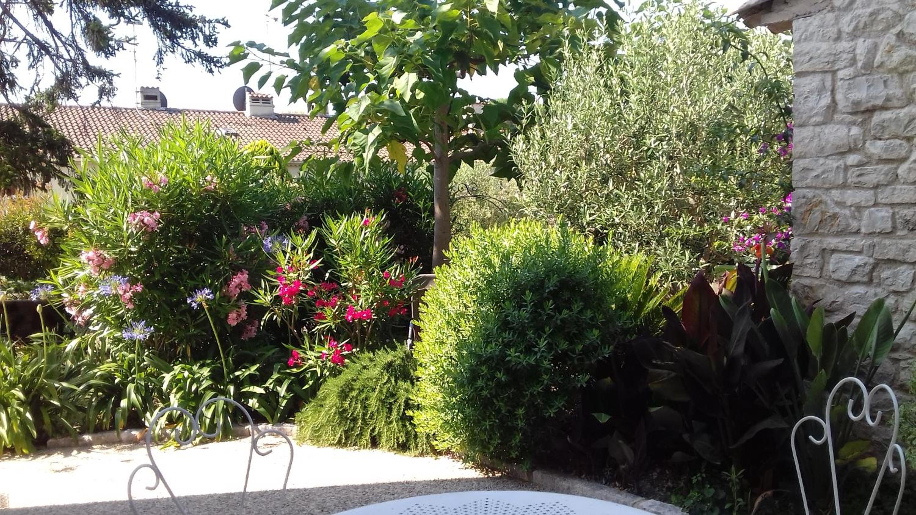 Photo 23