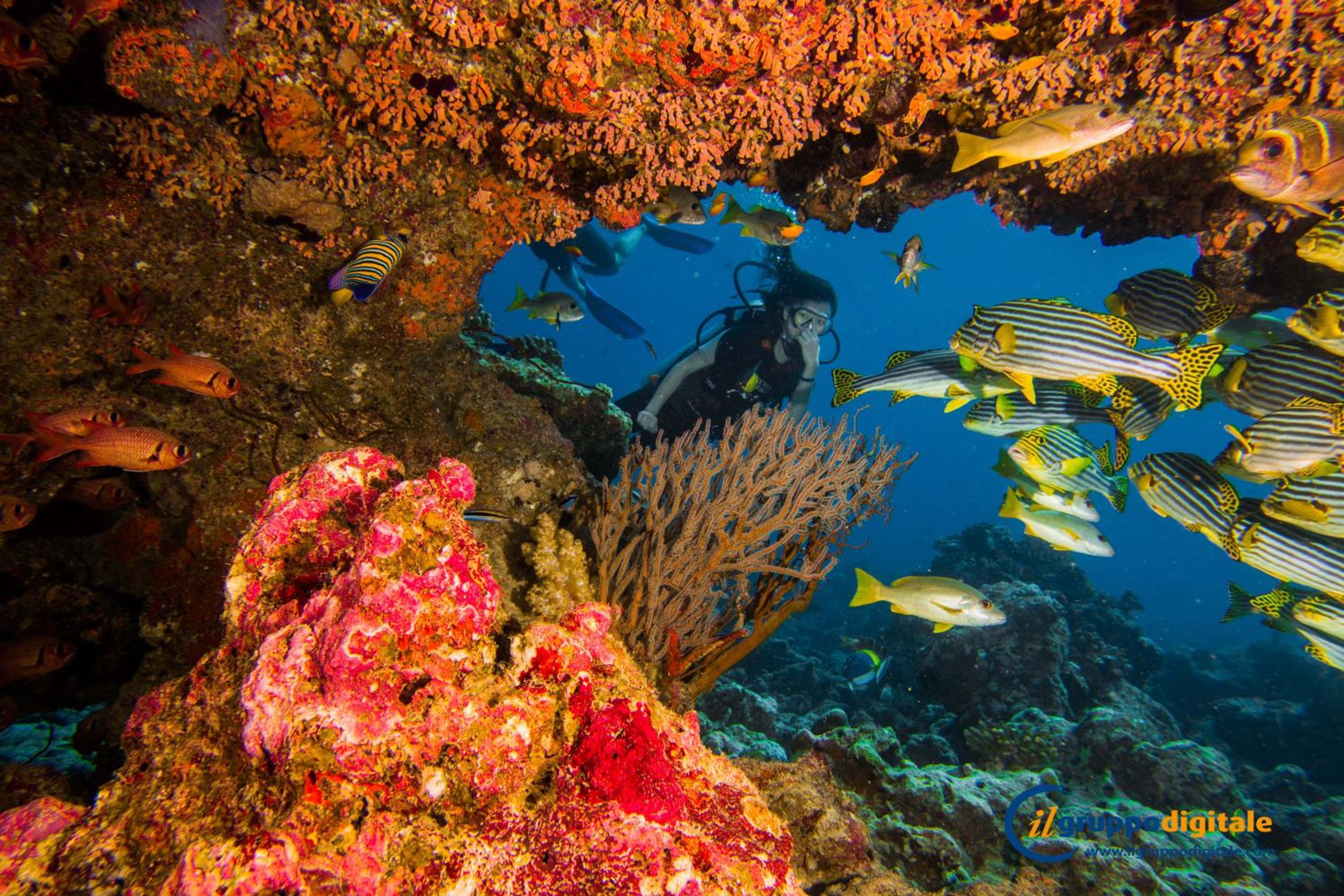 Photo 46