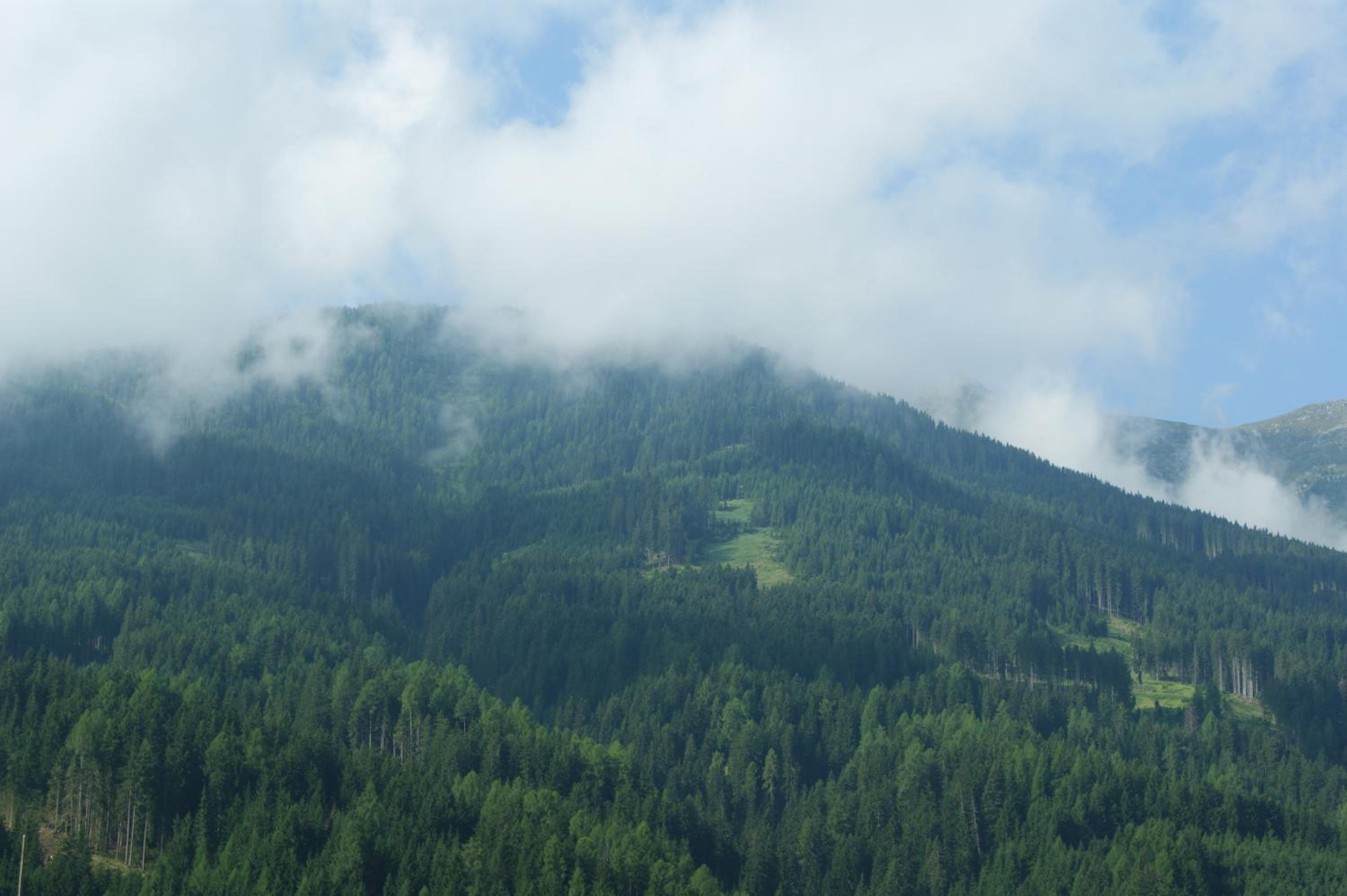 Pension Pichler