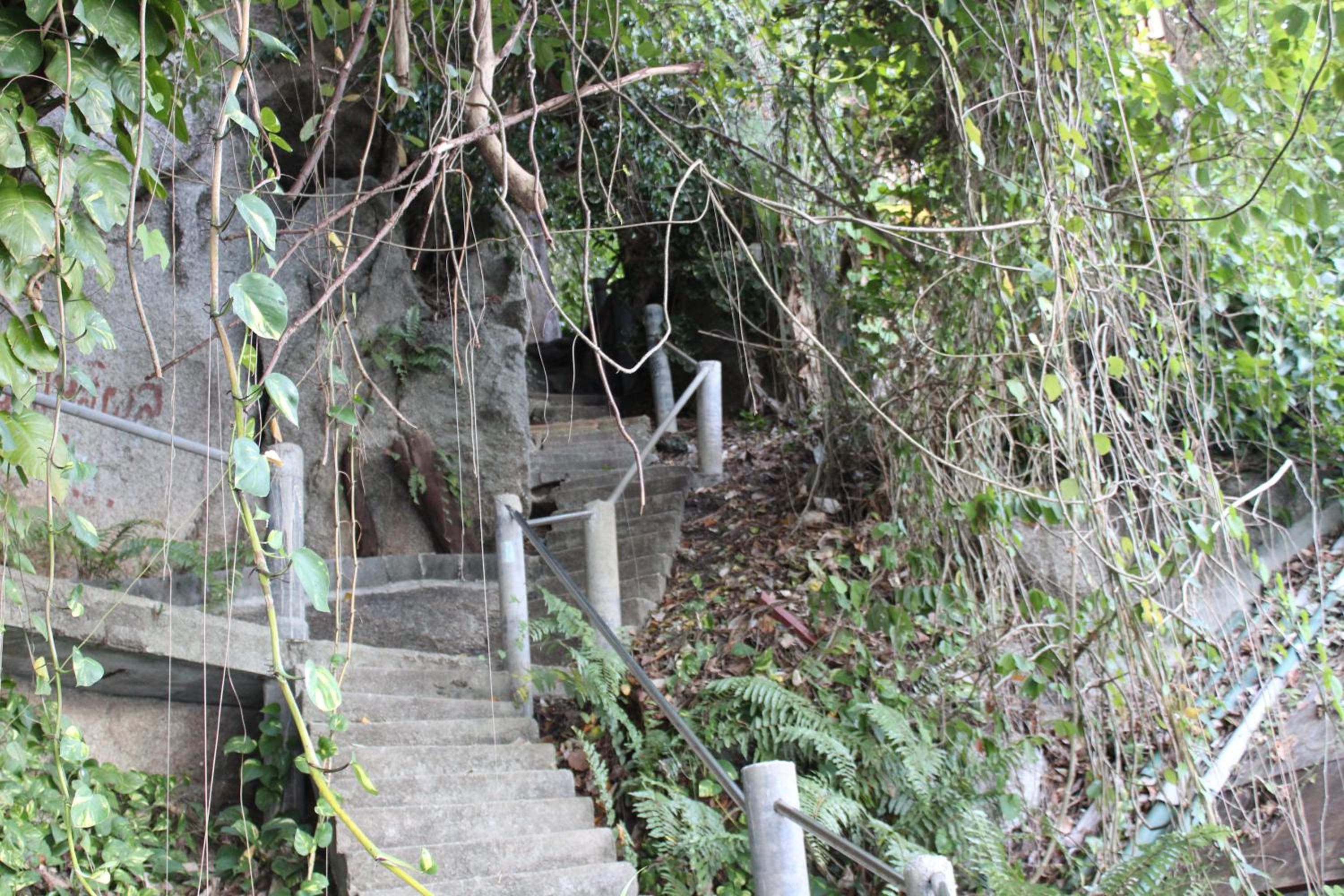 Photo 28