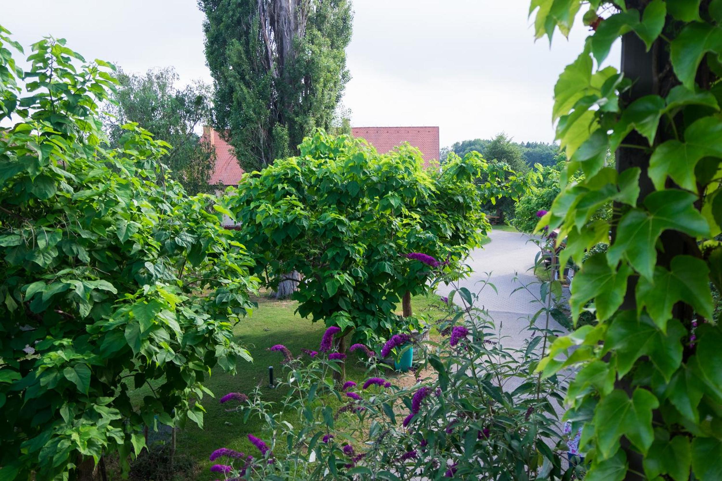 Photo 21