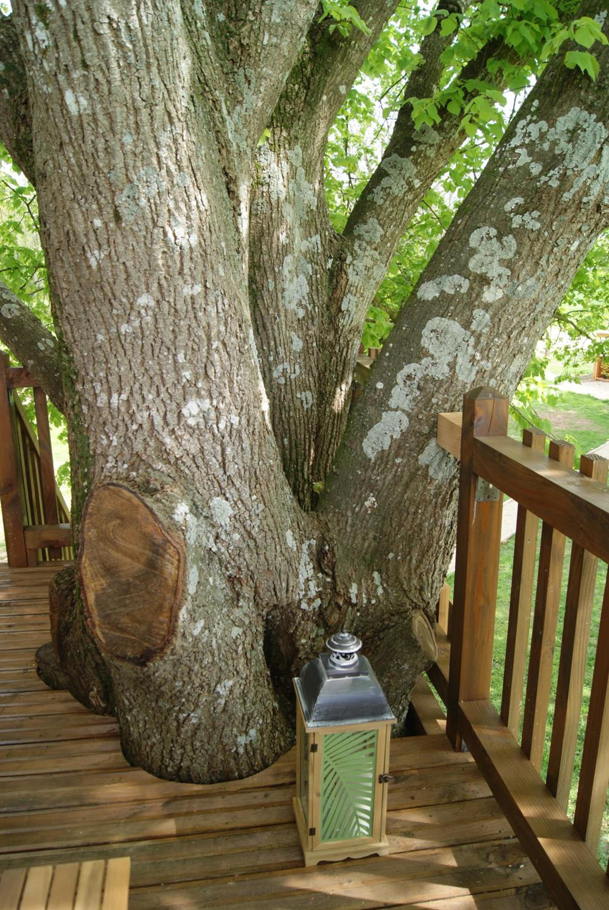 Photo 48