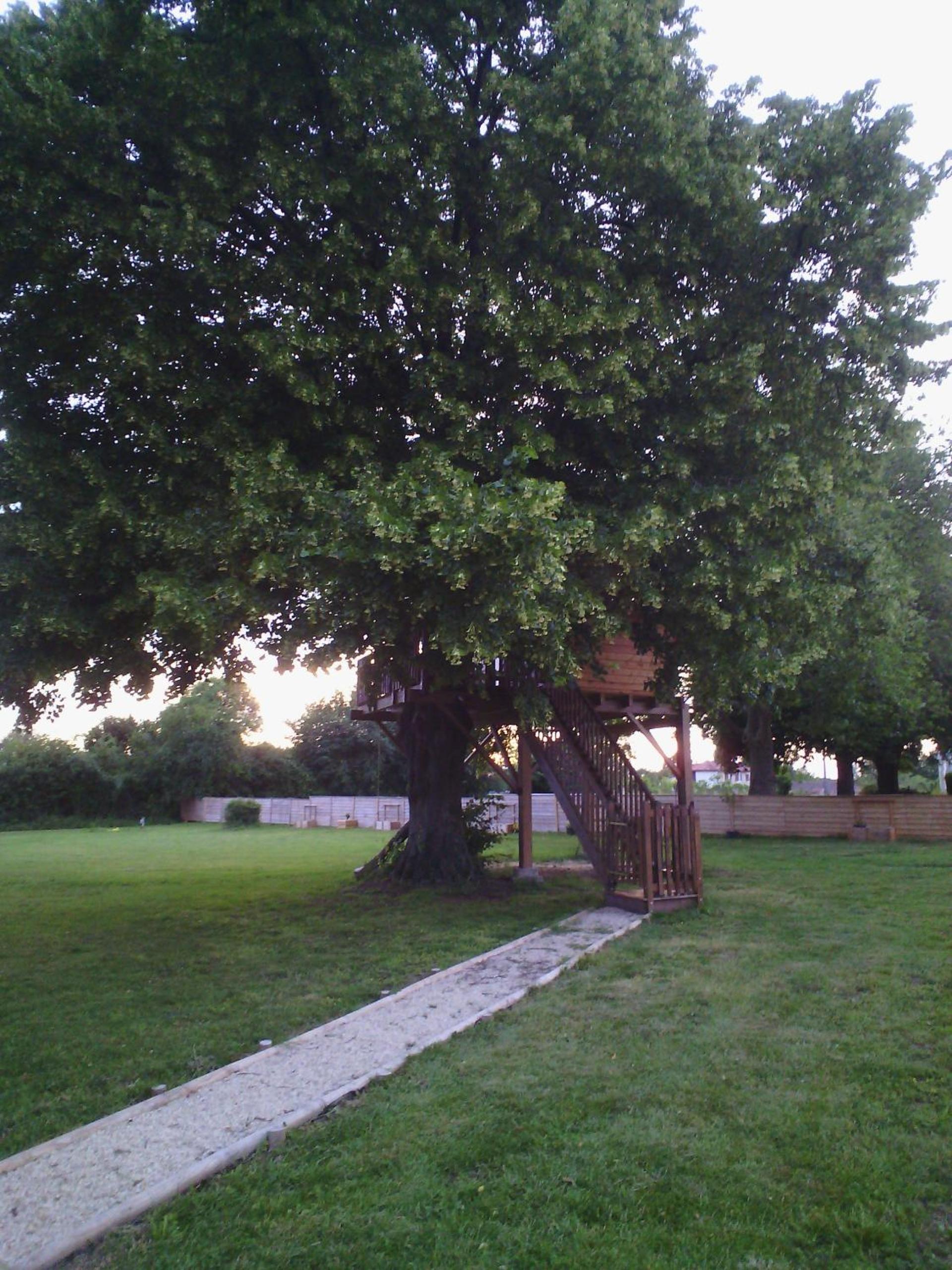 Photo 18