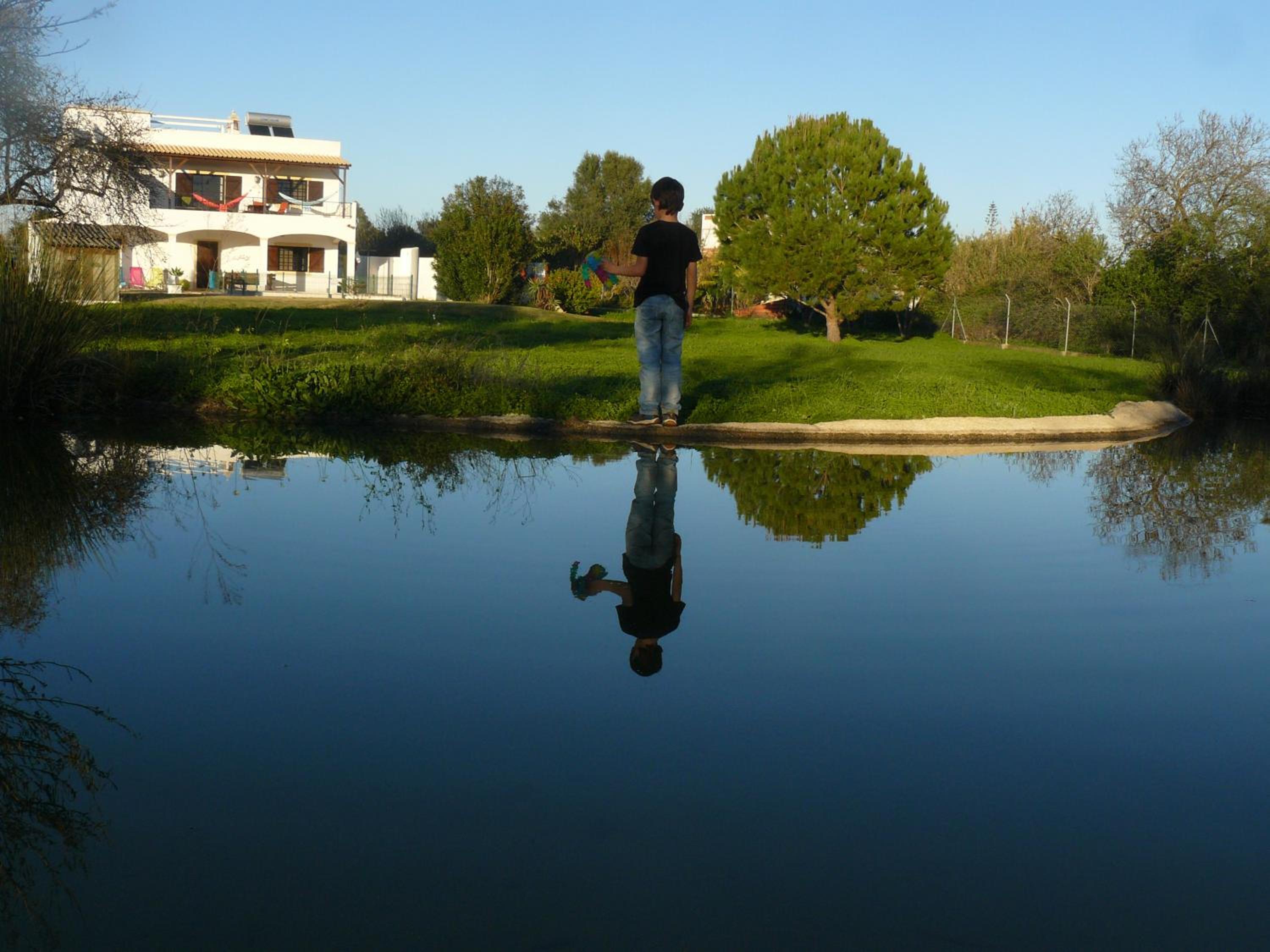 Photo 45