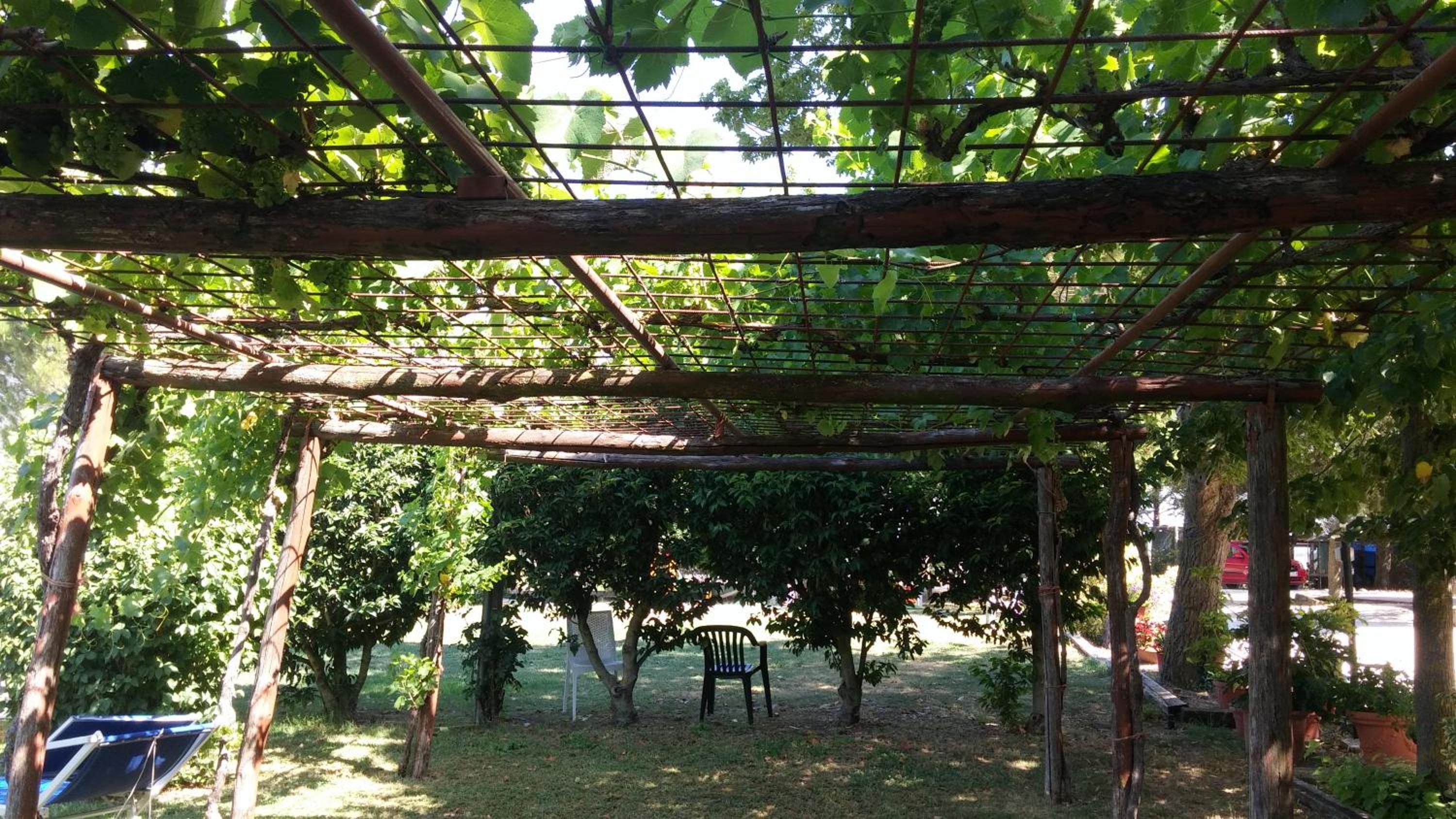 Agriturismo San Vito photo 3