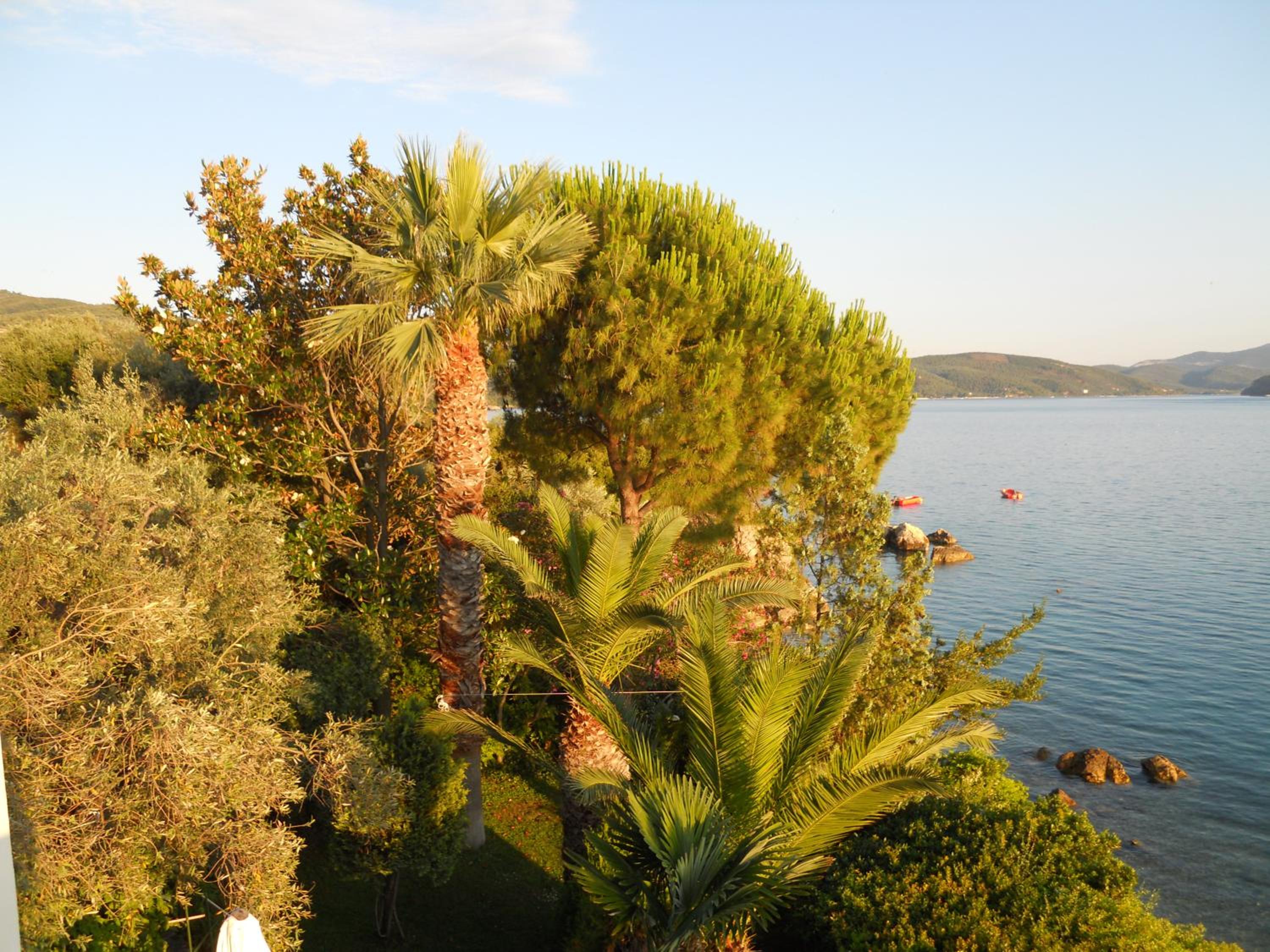 Villa Electra photo 3