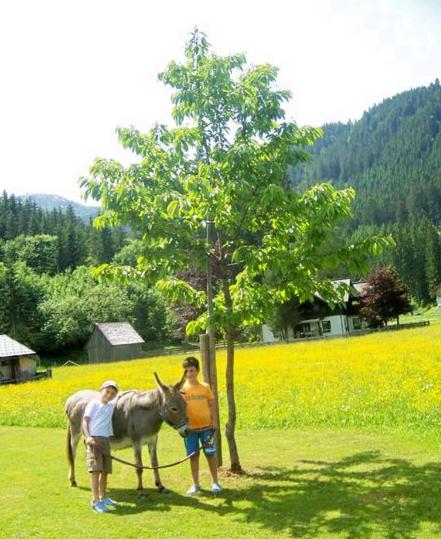 Gasthof Gosauschmied
