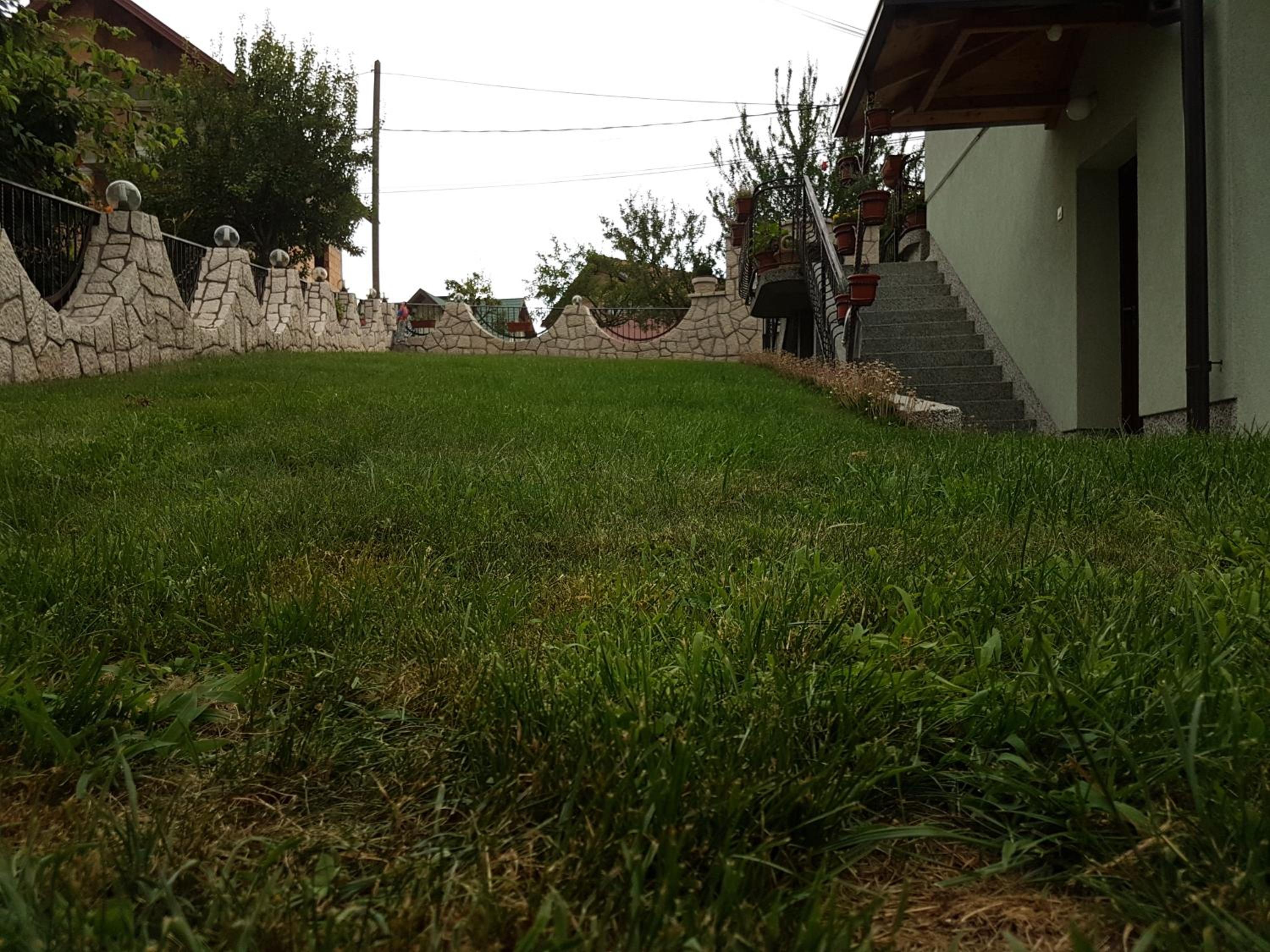 Guest house Dinka