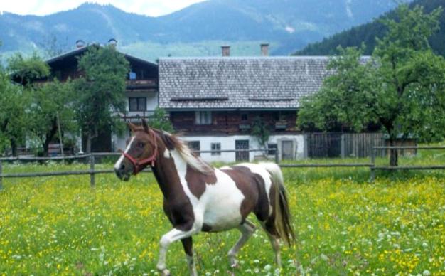 Jugendgästehaus Gosauschmied